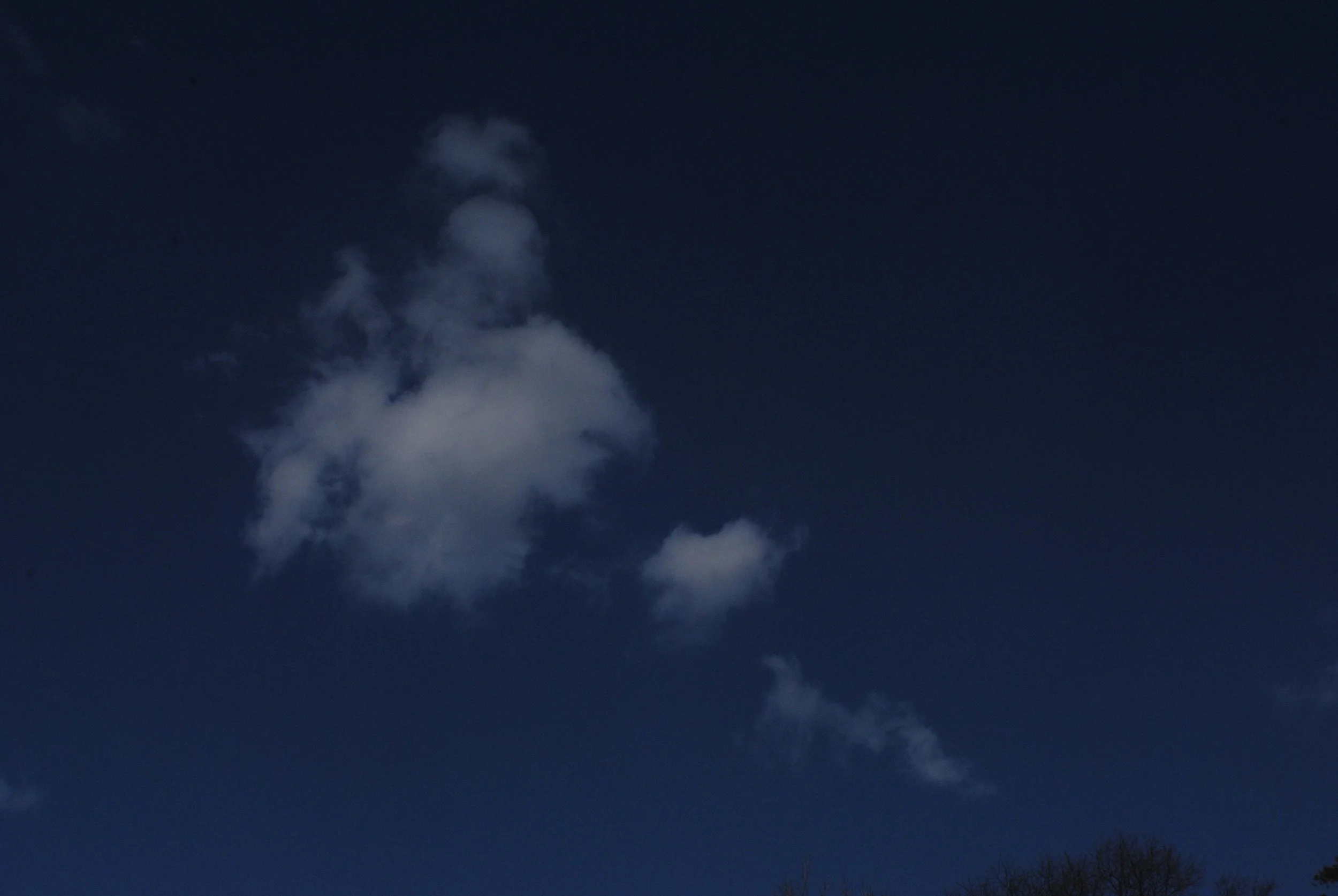 DSC_1168.JPG