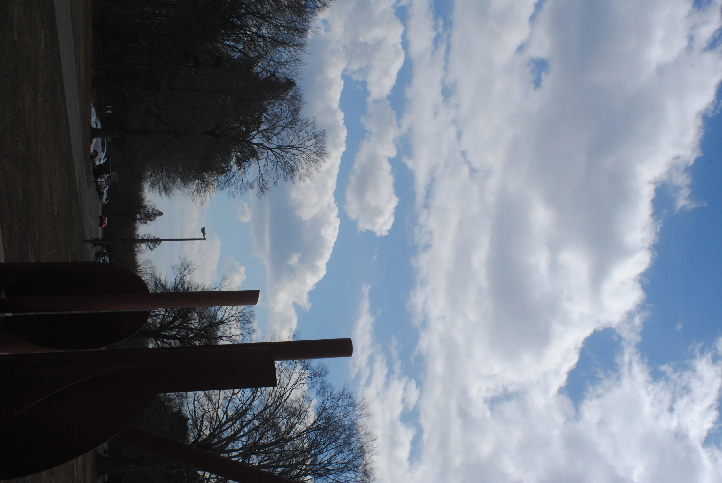 DSC_1177.JPG