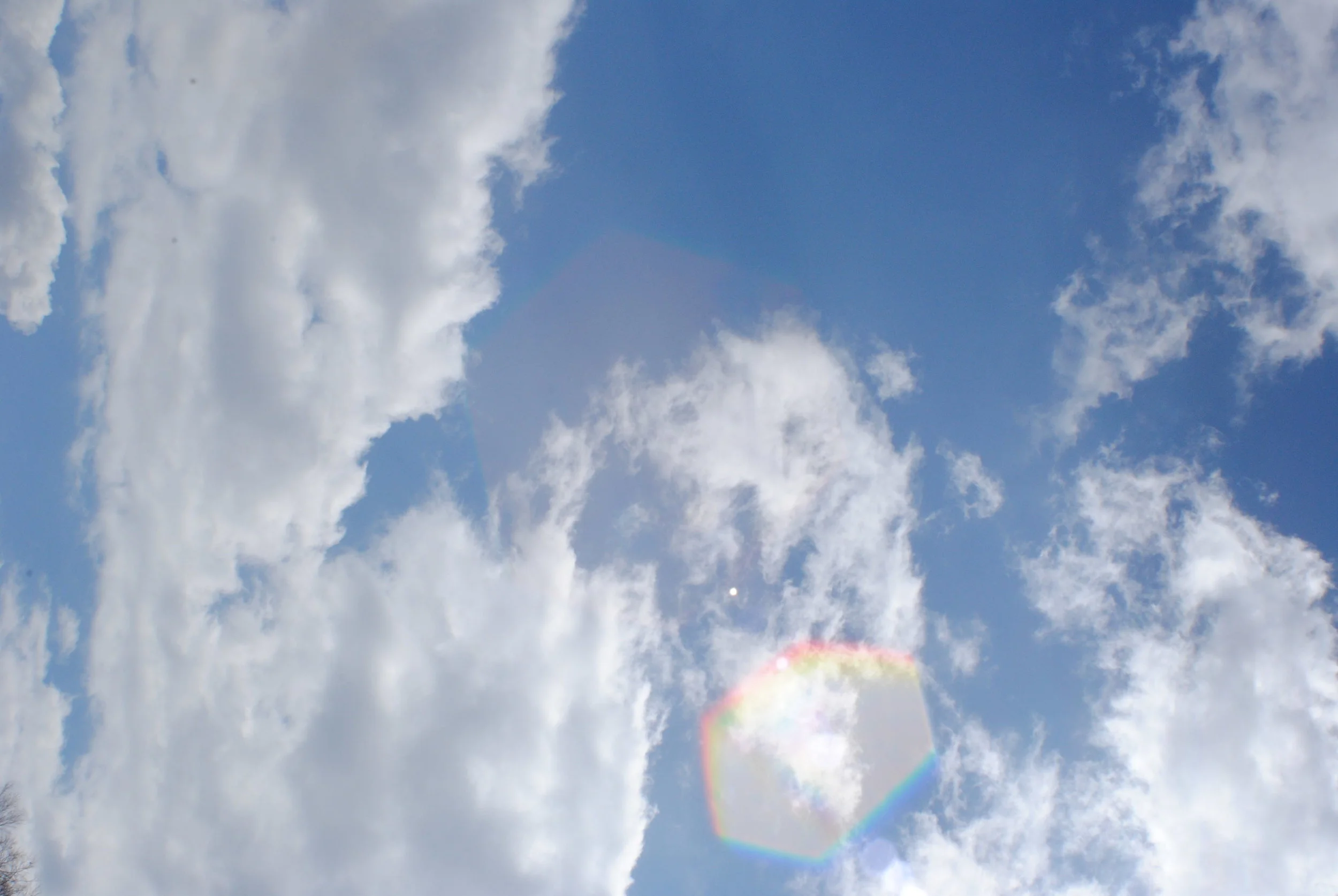 DSC_1180.JPG