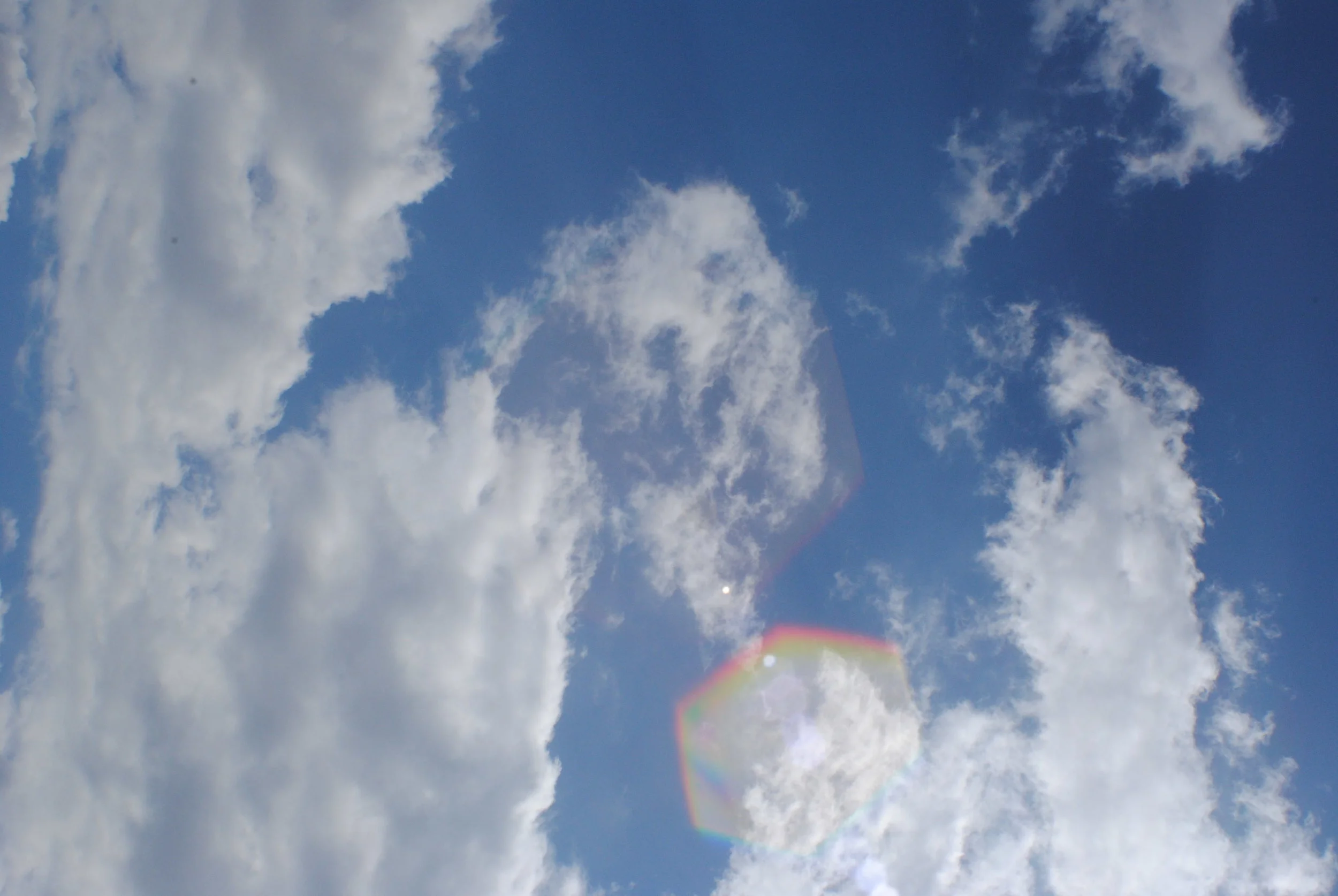 DSC_1182.JPG