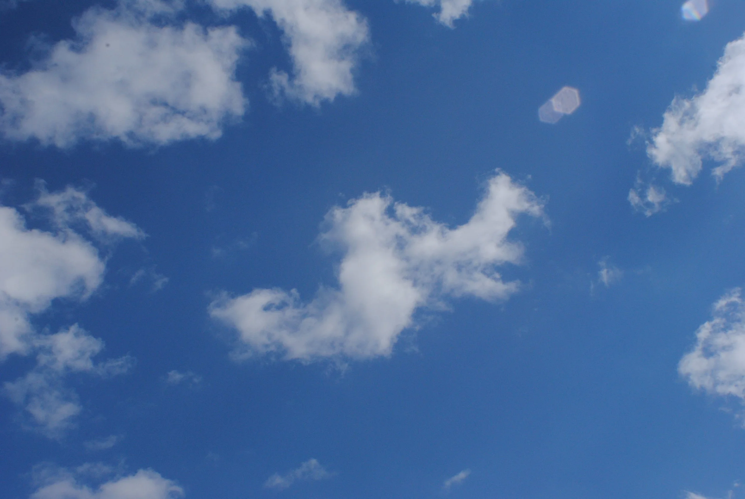 DSC_1184.JPG