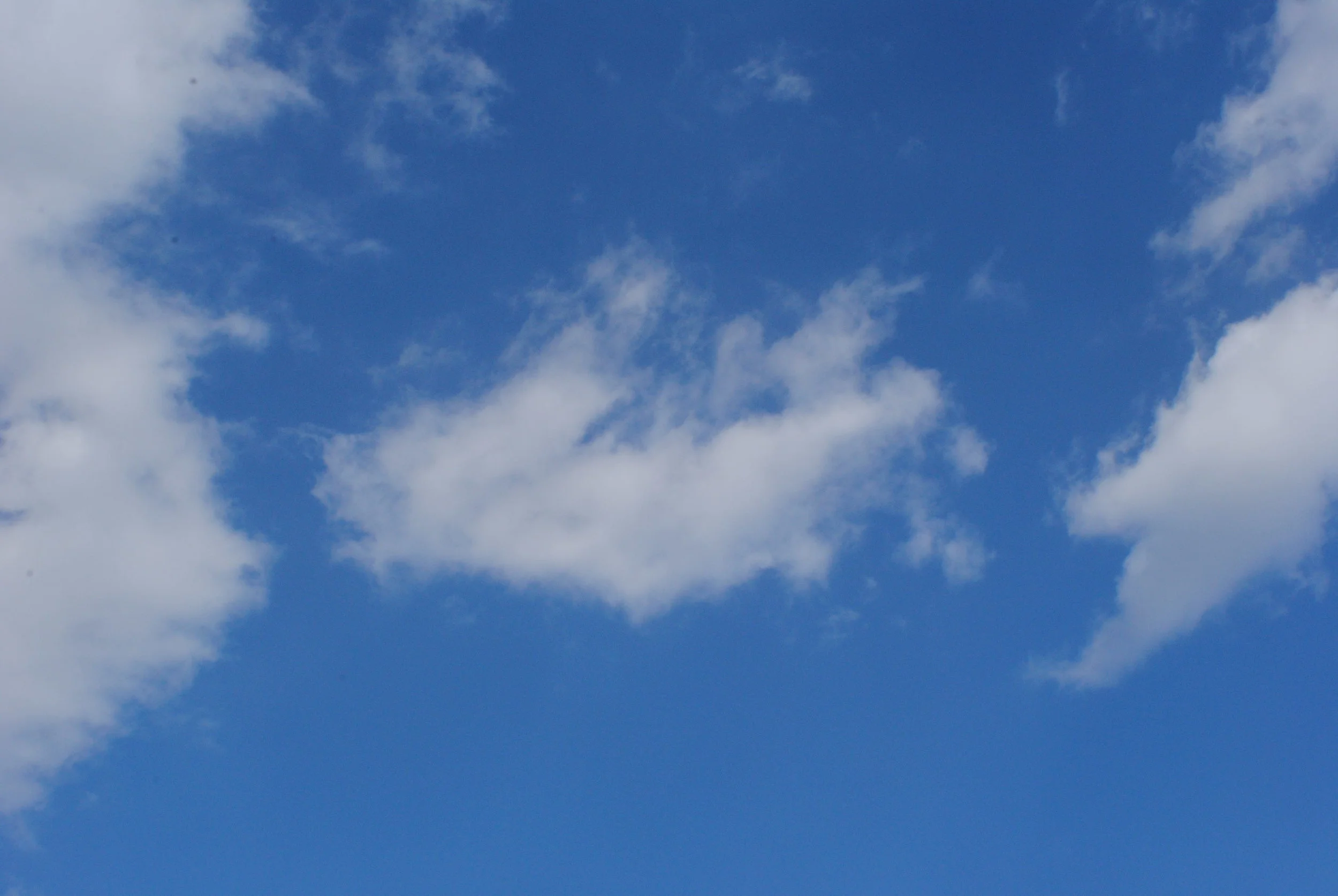 DSC_1188.JPG