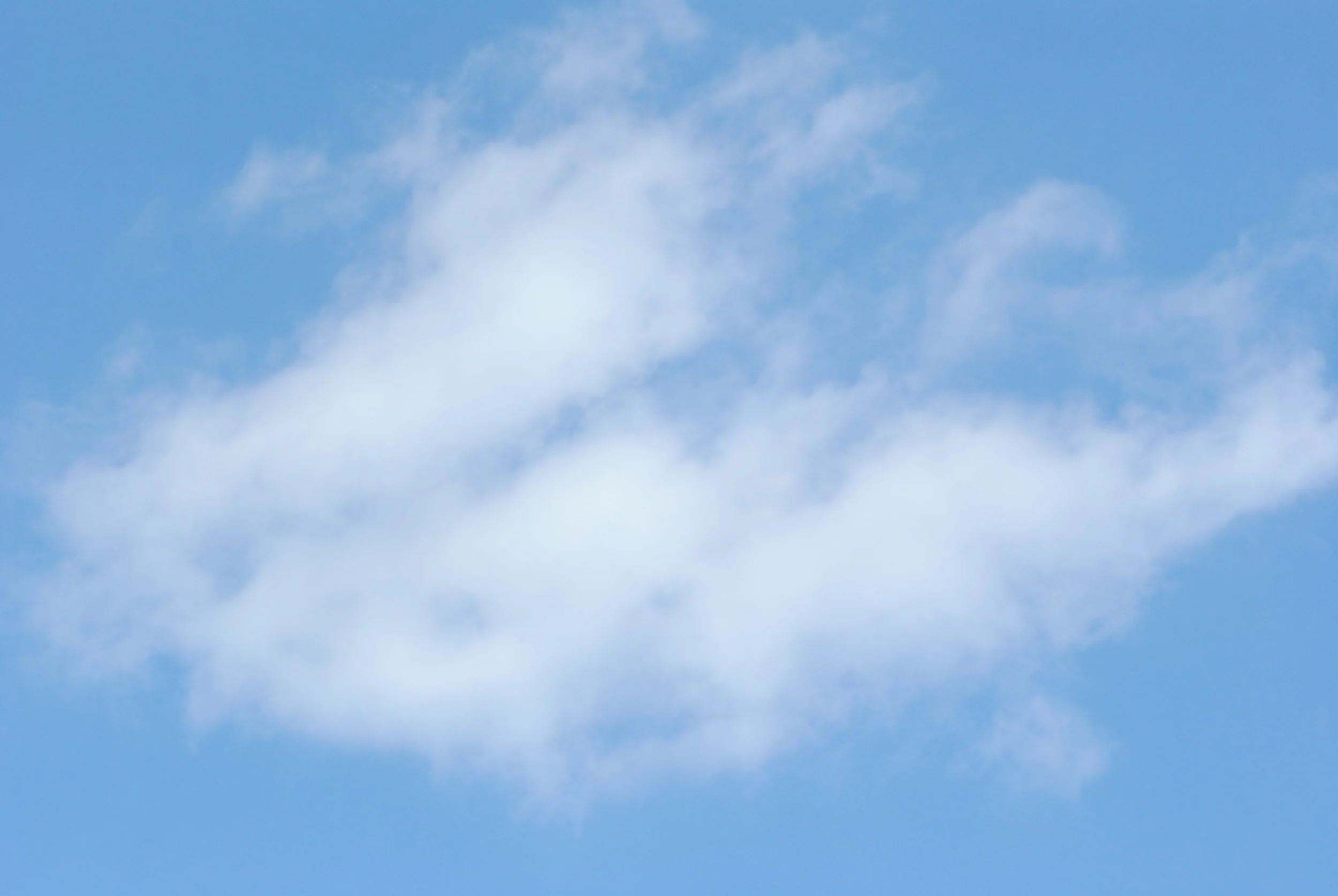 DSC_1191.JPG