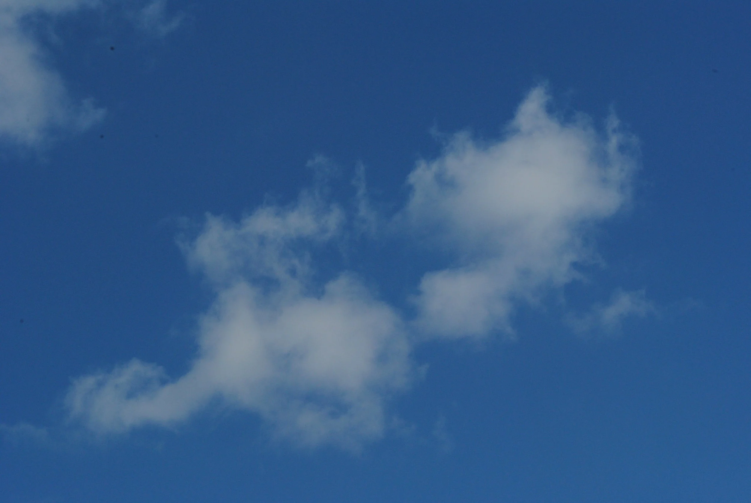 DSC_1194.JPG