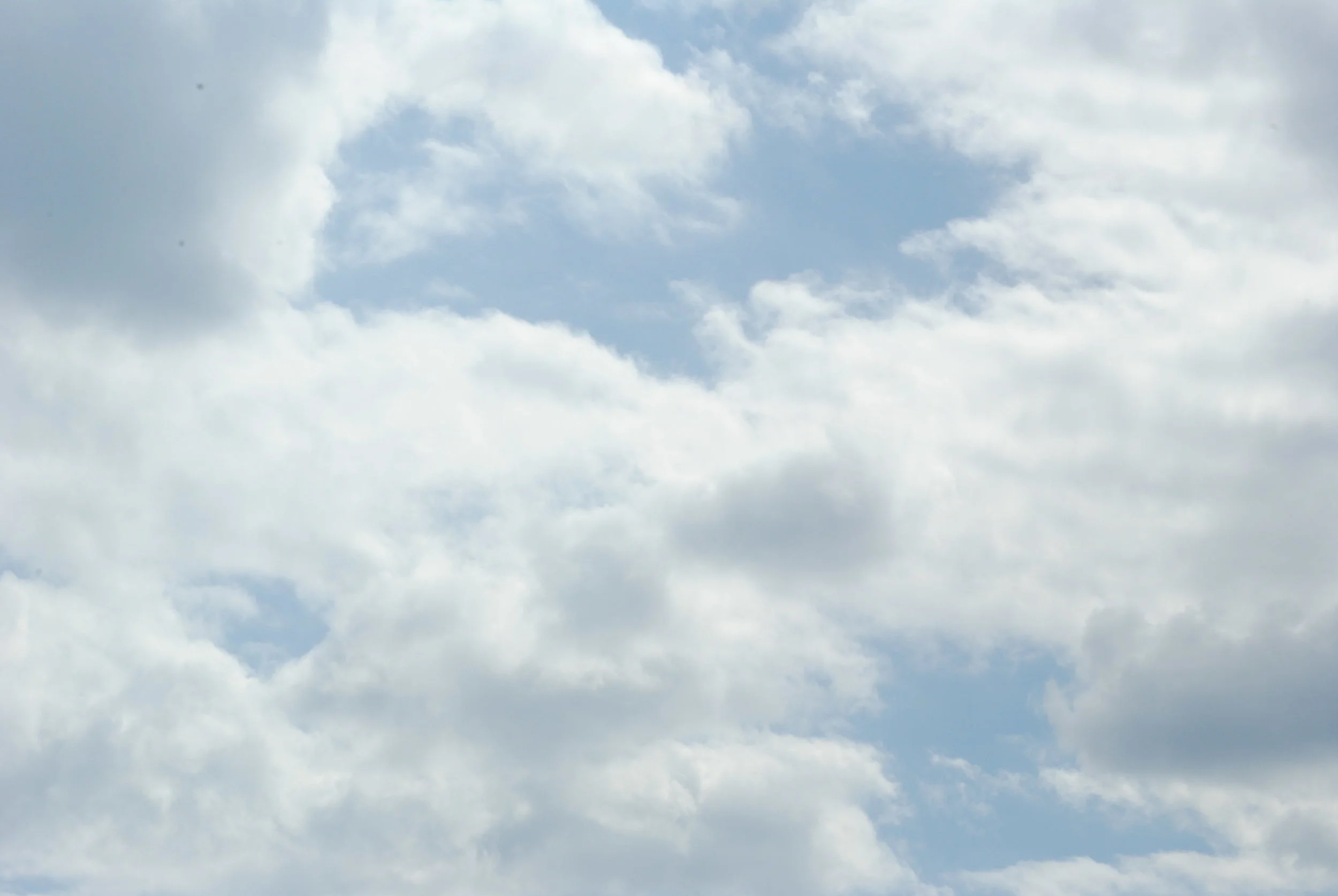 DSC_1195.JPG