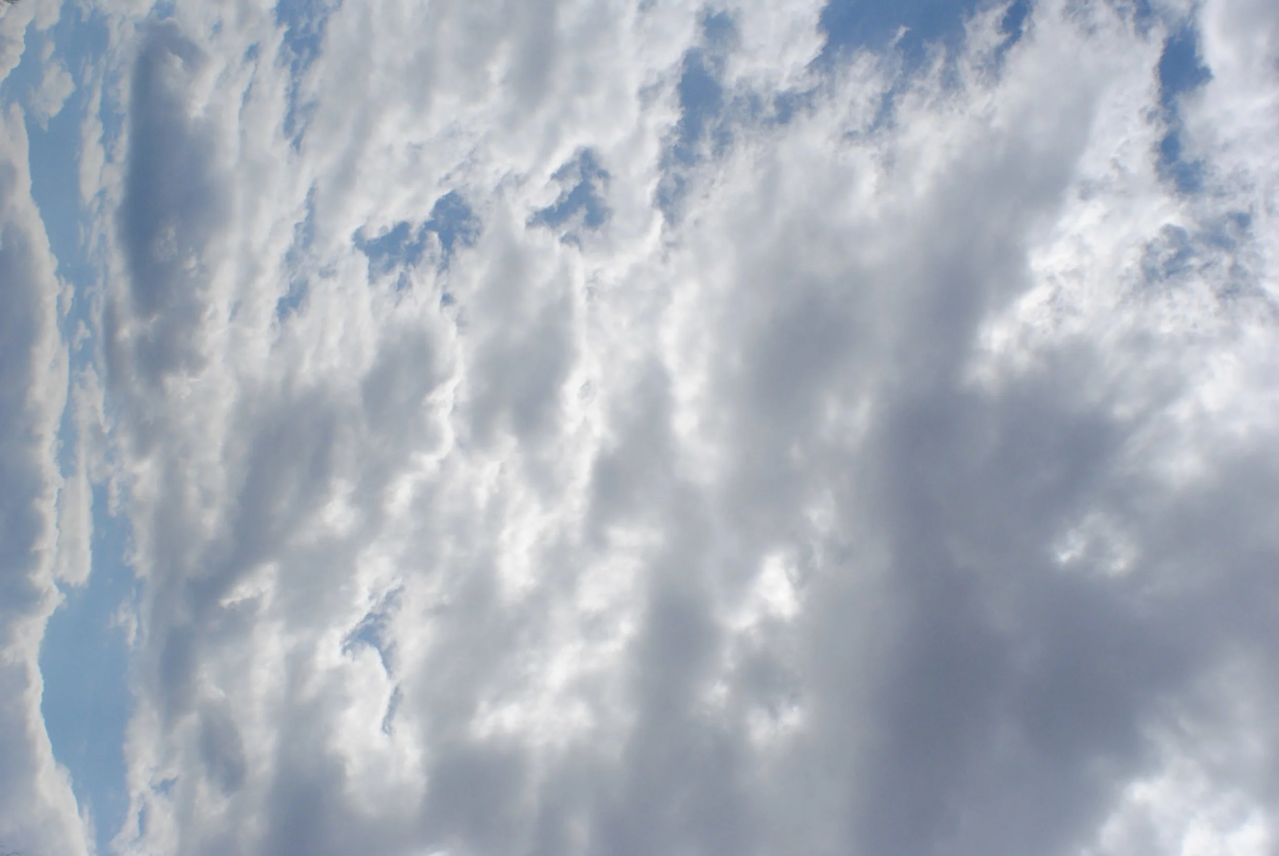 DSC_1200.JPG