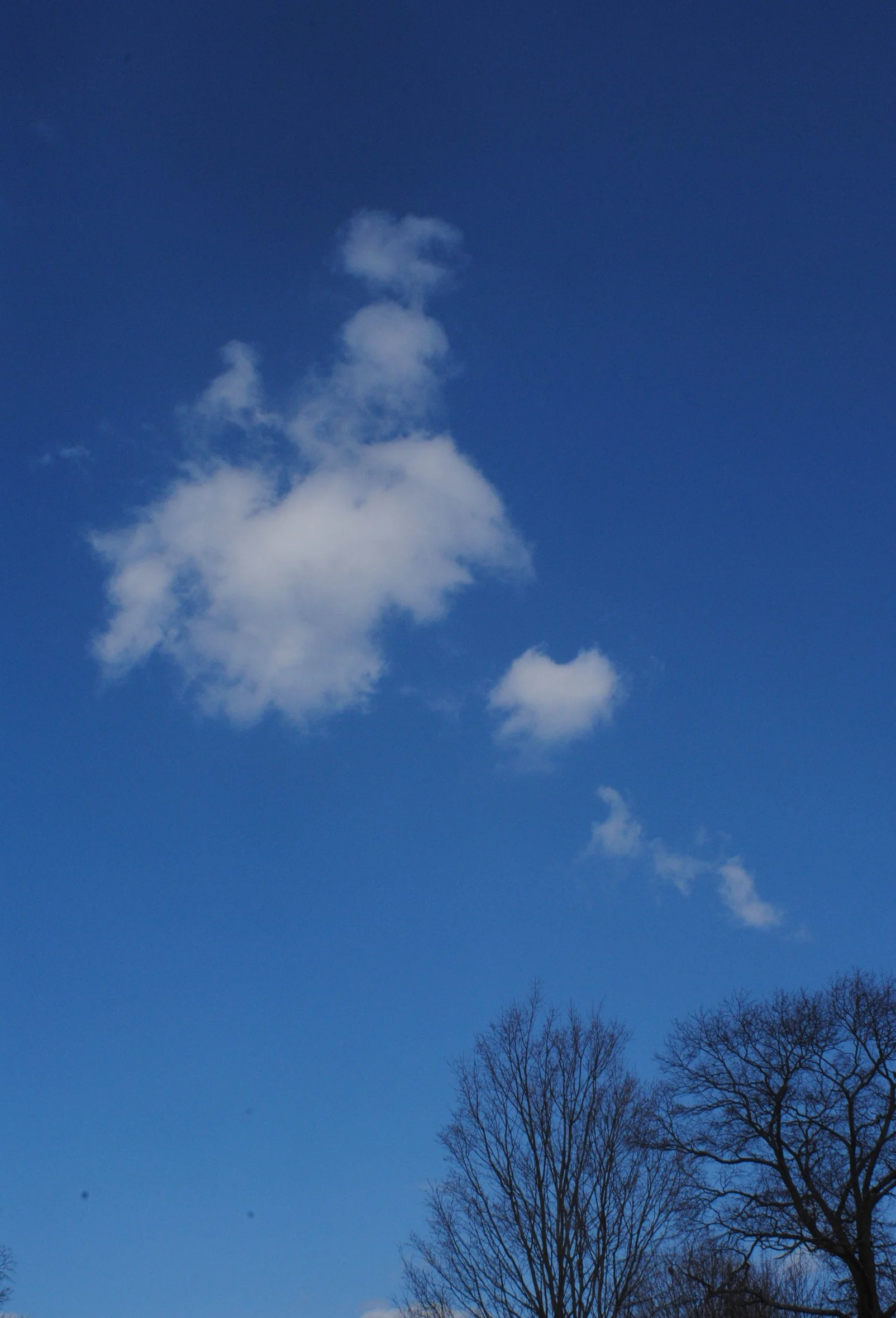 DSC_1170.JPG