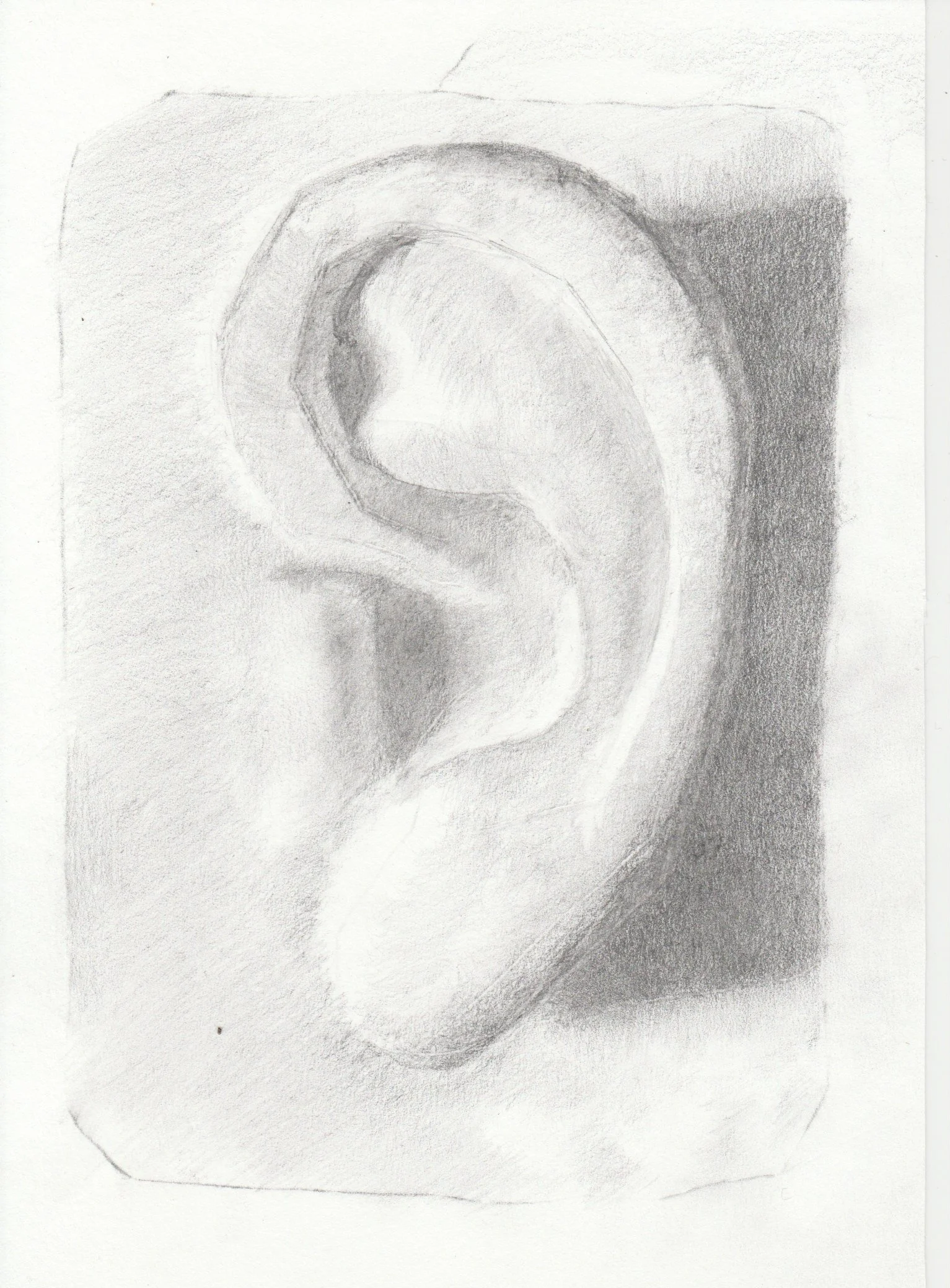 Ear.jpeg