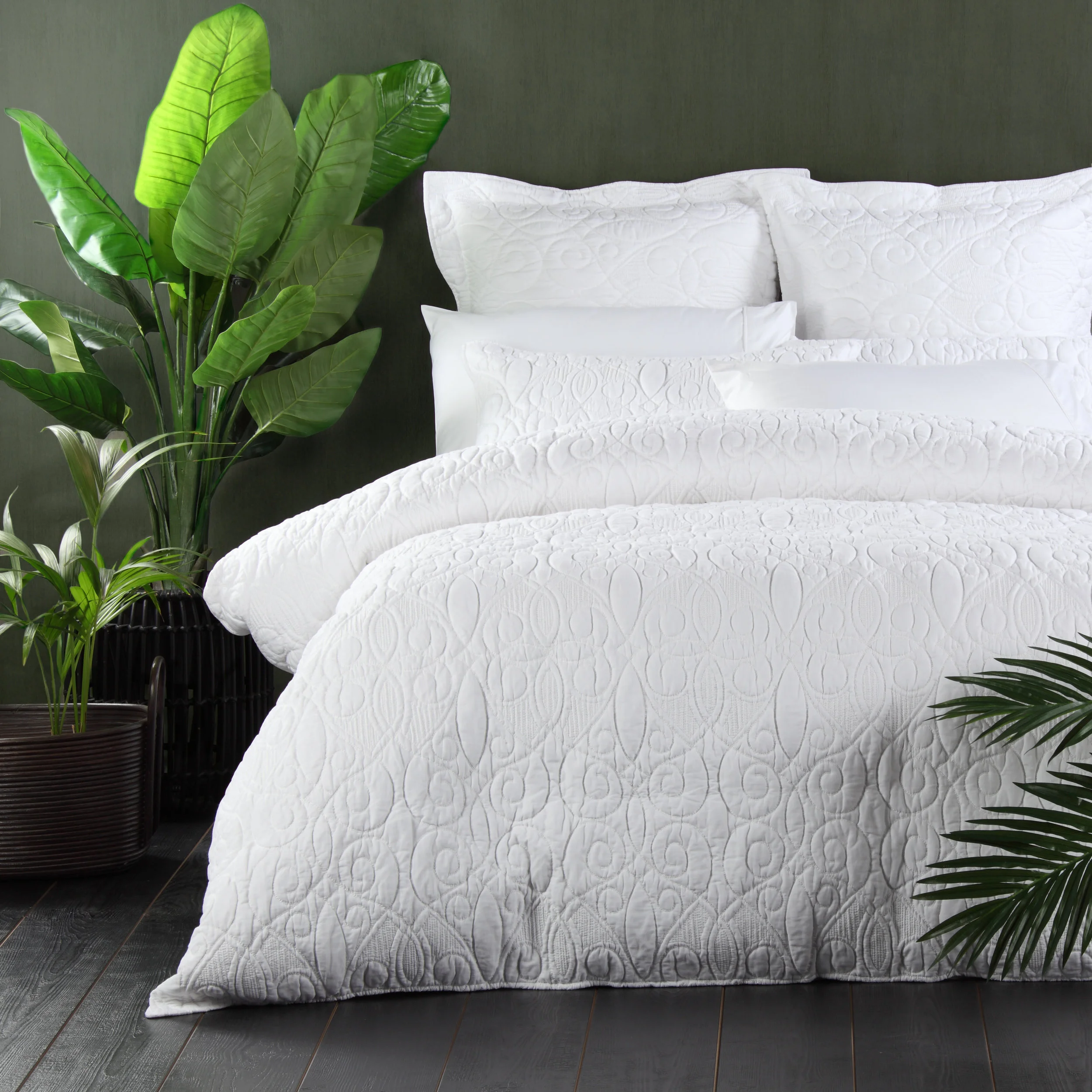 Domani Dante White.jpg