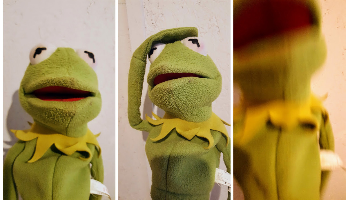 kermit3up.jpg