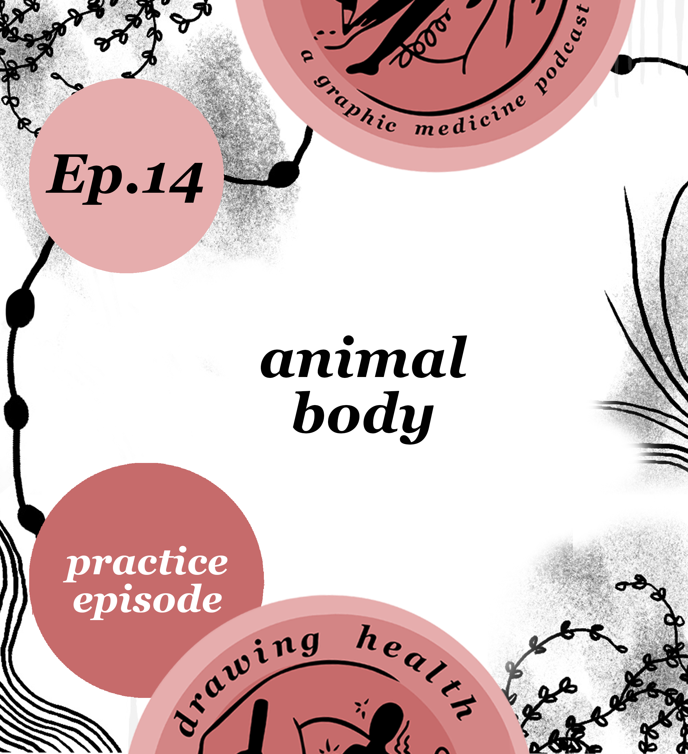 Drawing Health Podcast: Animal Body