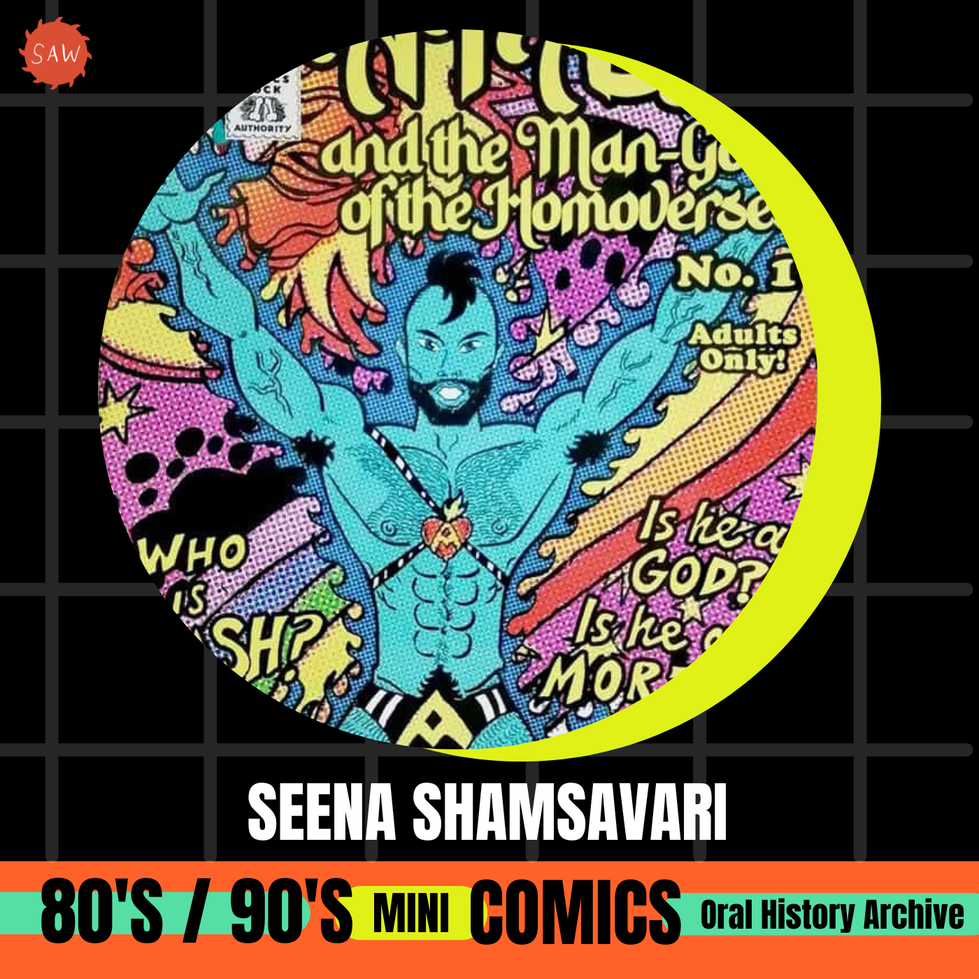 Seena Shamsavari - 90s Mini-Comics Oral History Archives Project