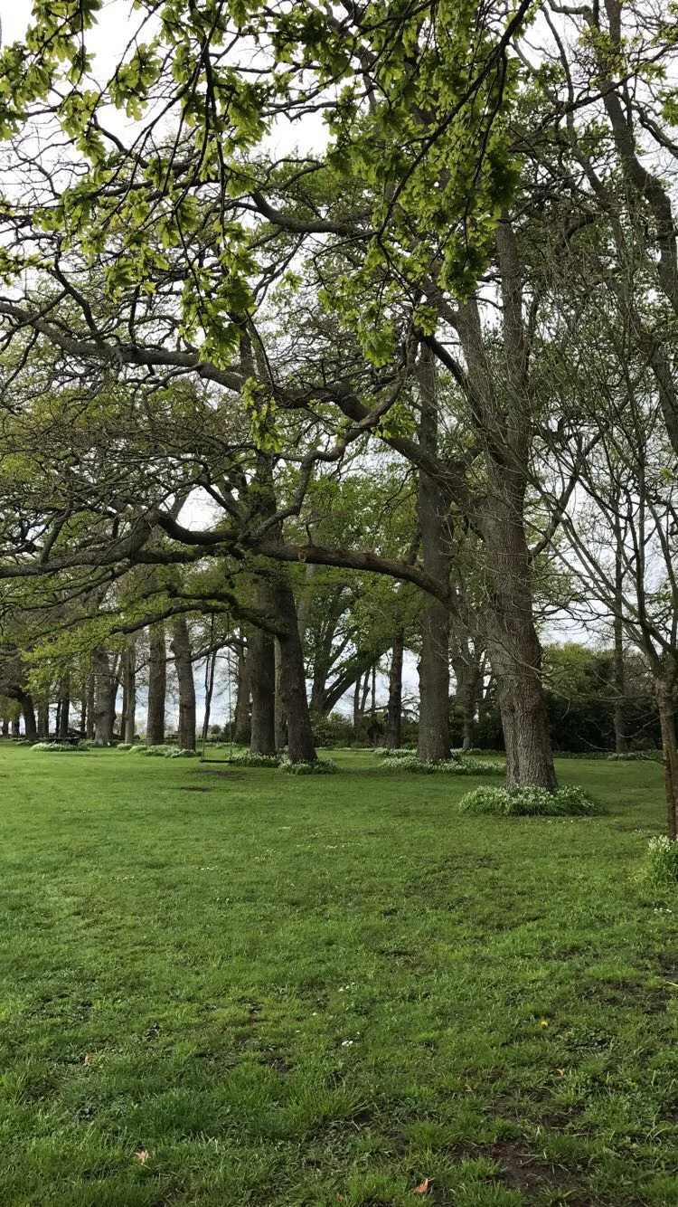 Spot the swing. 