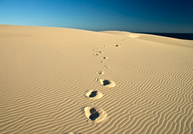 The steps of the righteous are ordered by the Lord 