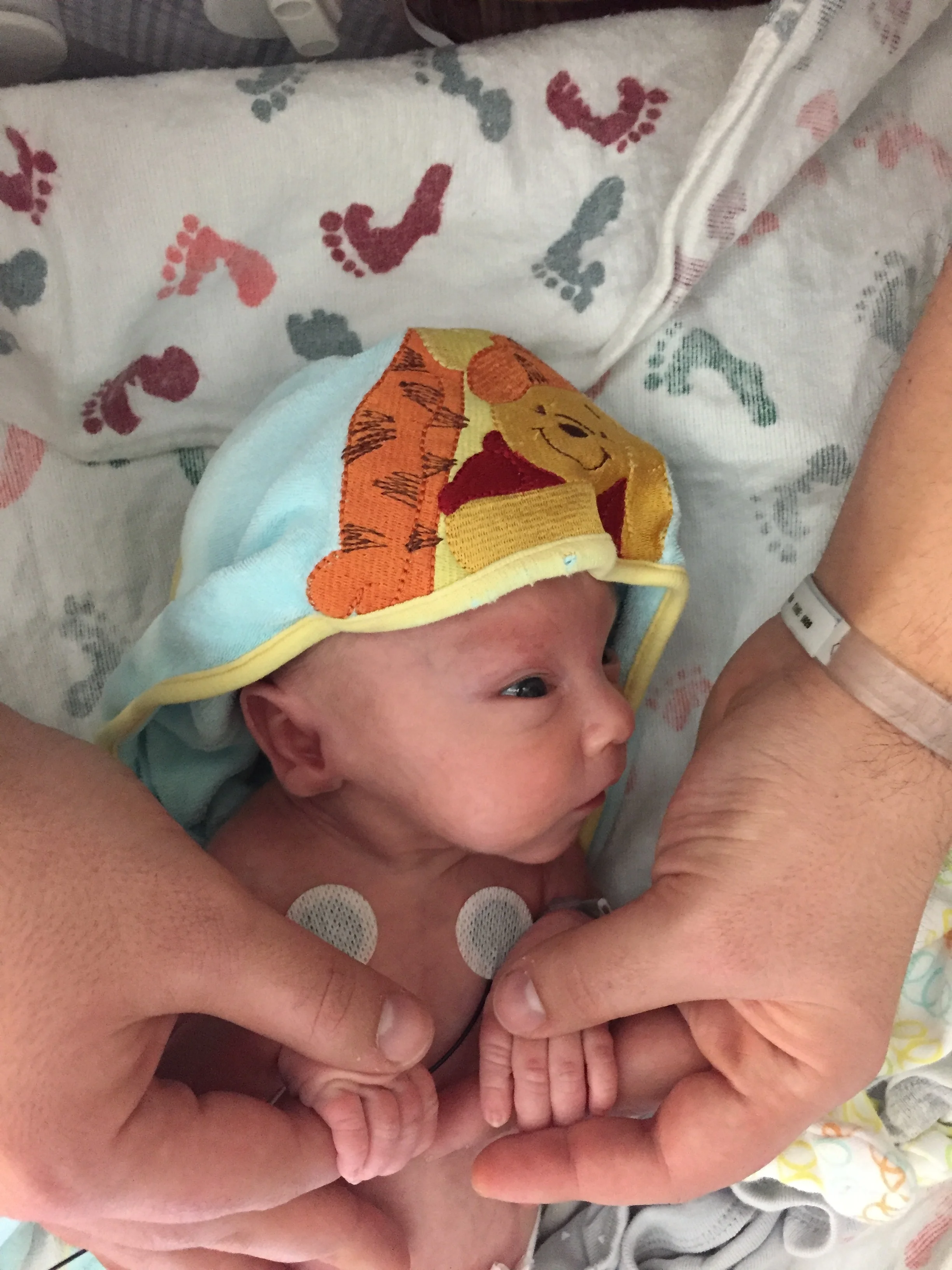 IMG_2333.JPG