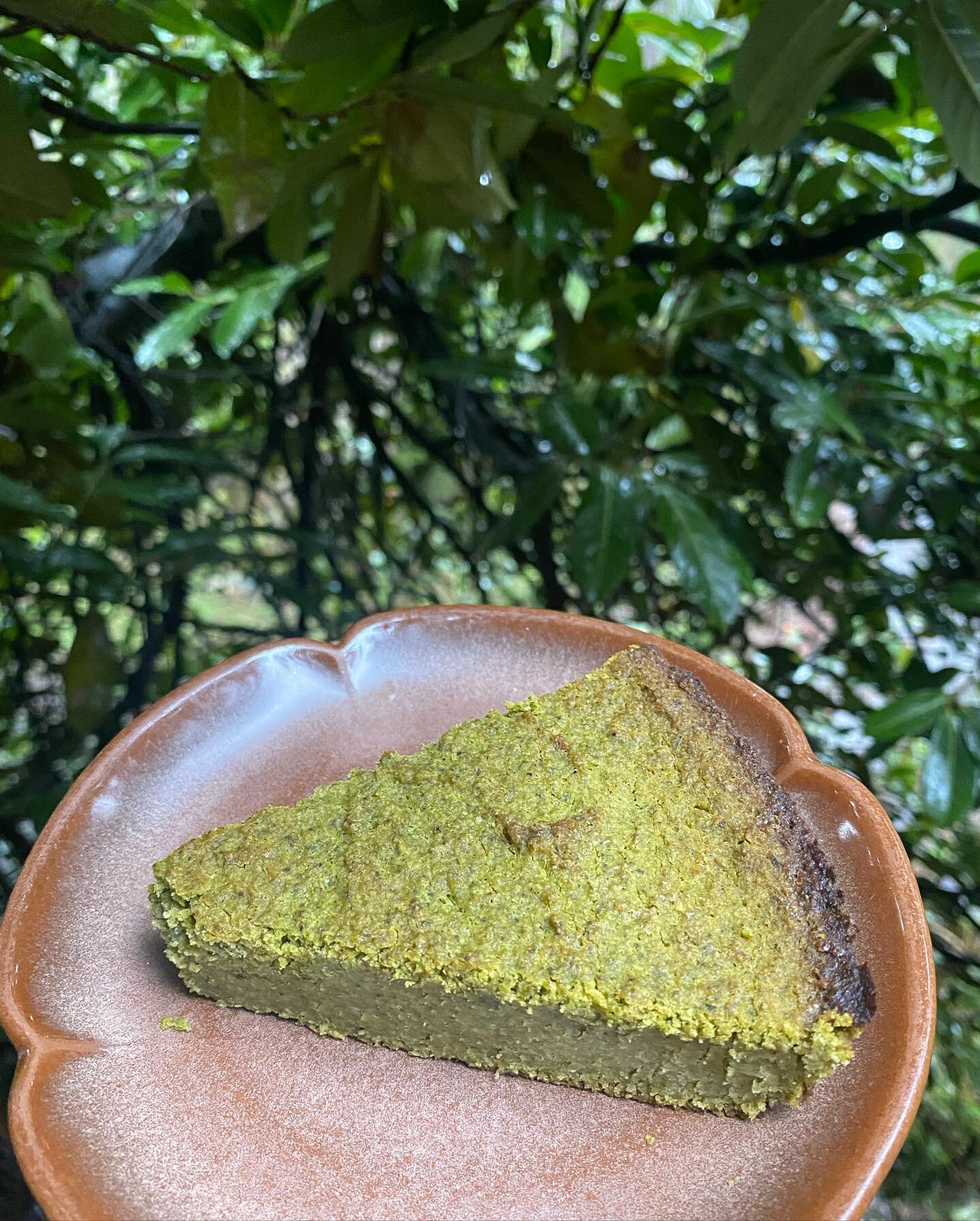 Nettle Cake 🌱 a favourite recipe for this time of year listed on my blog. Harvesting and cooking has been a grounding anchor in an otherwise uprooting spring. Between keeping an eye on the atrocities of the world right now and sitting with people in
