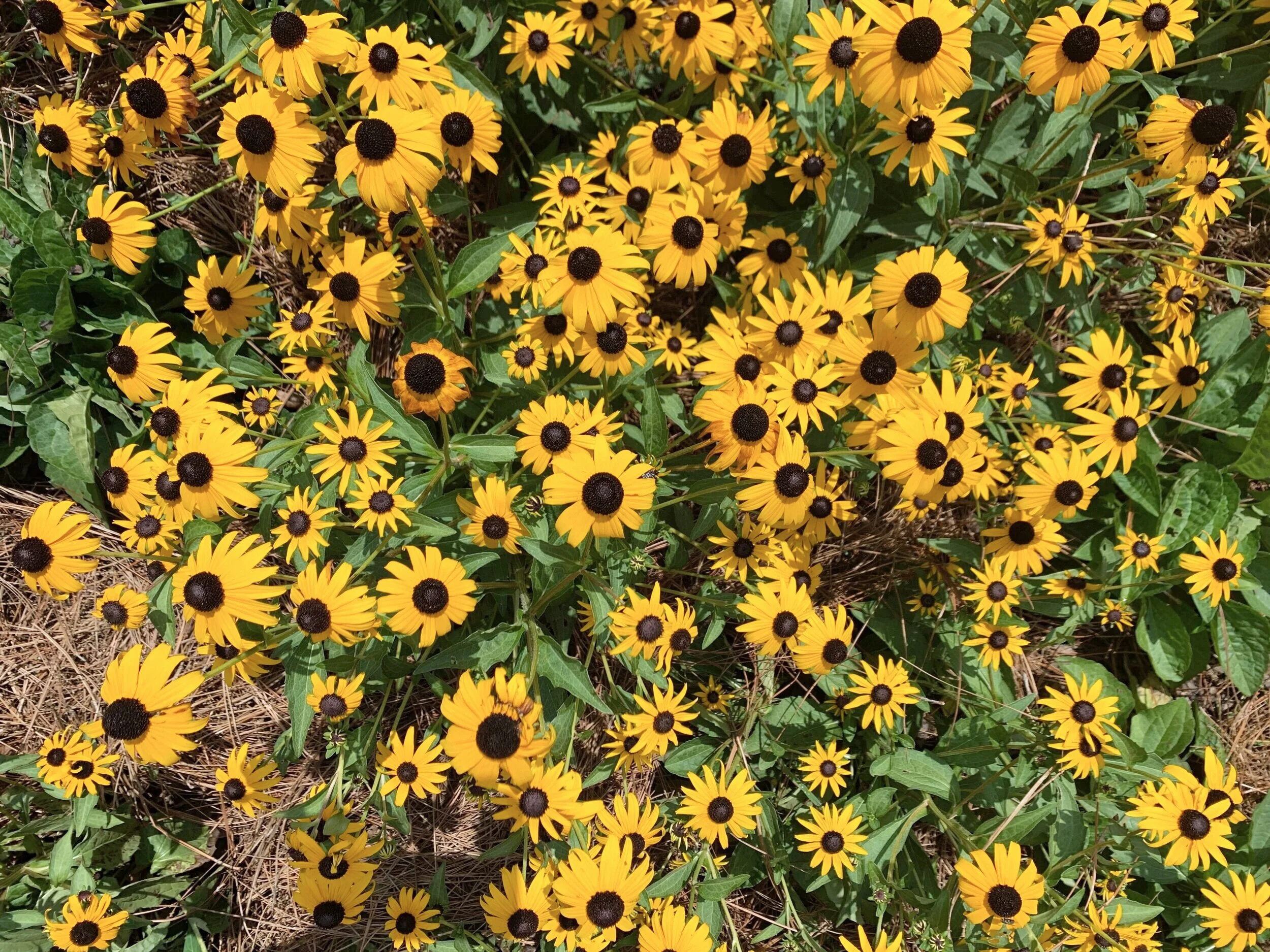 No. 1 - There is Room