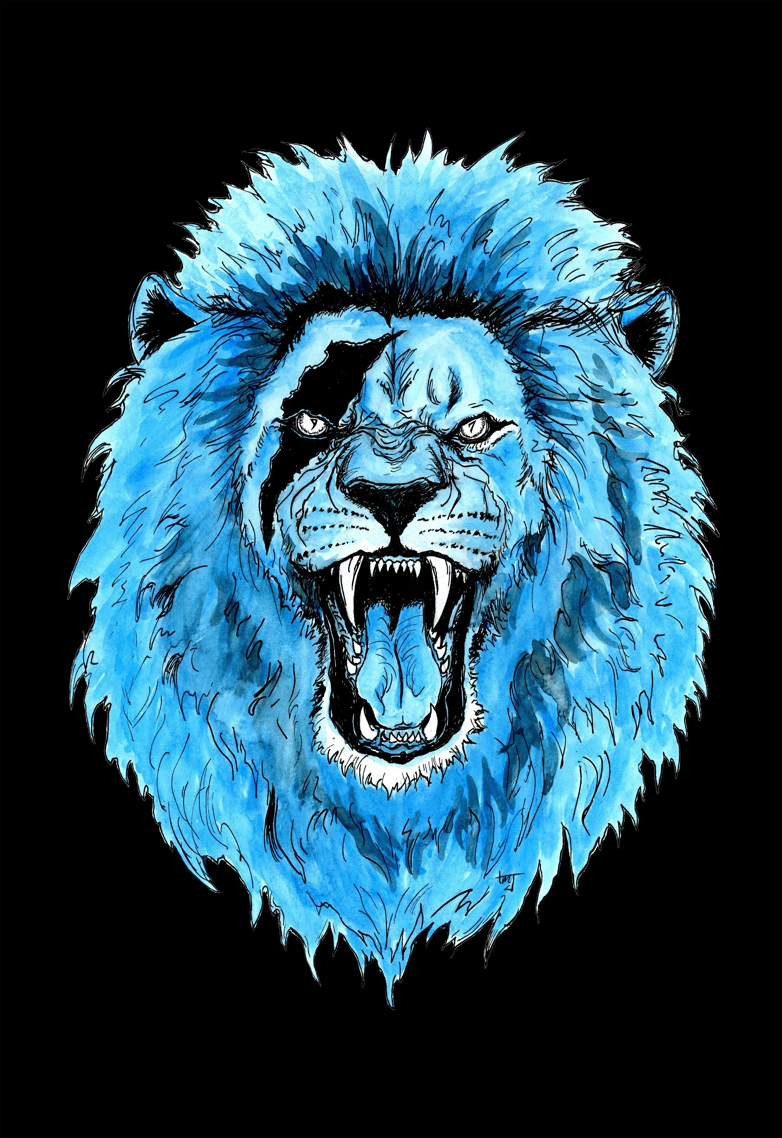 DET Lions x Aidan Final Design FOR WEB.jpg