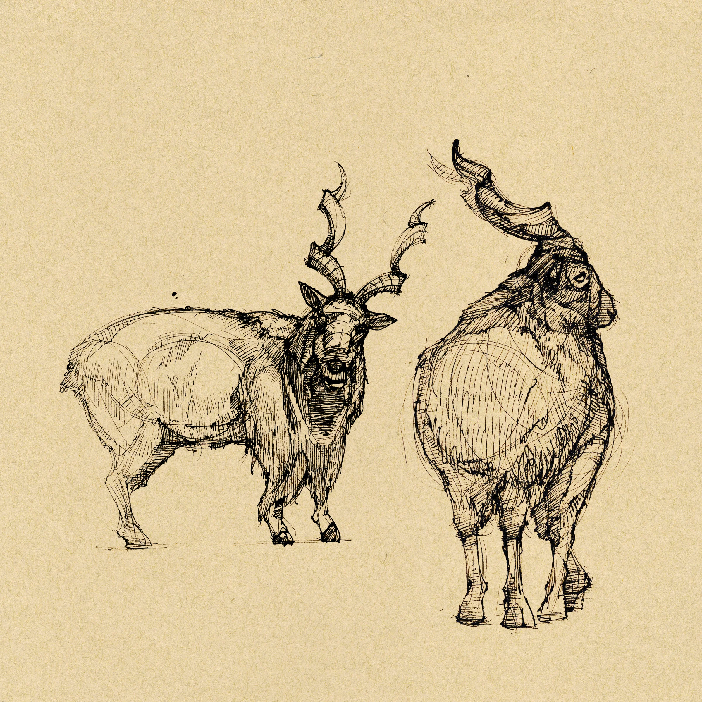dynamic sketching website13.jpg