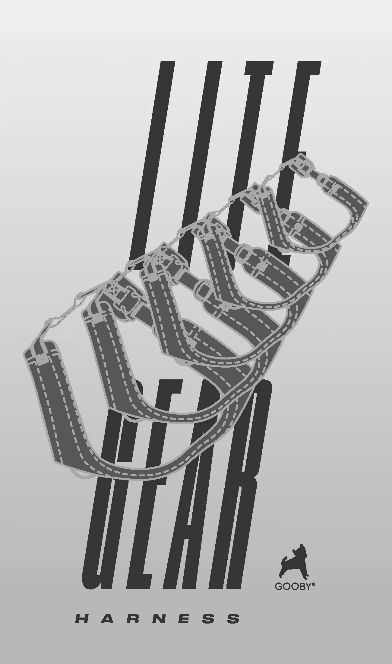 lite gear long posters bw.jpg