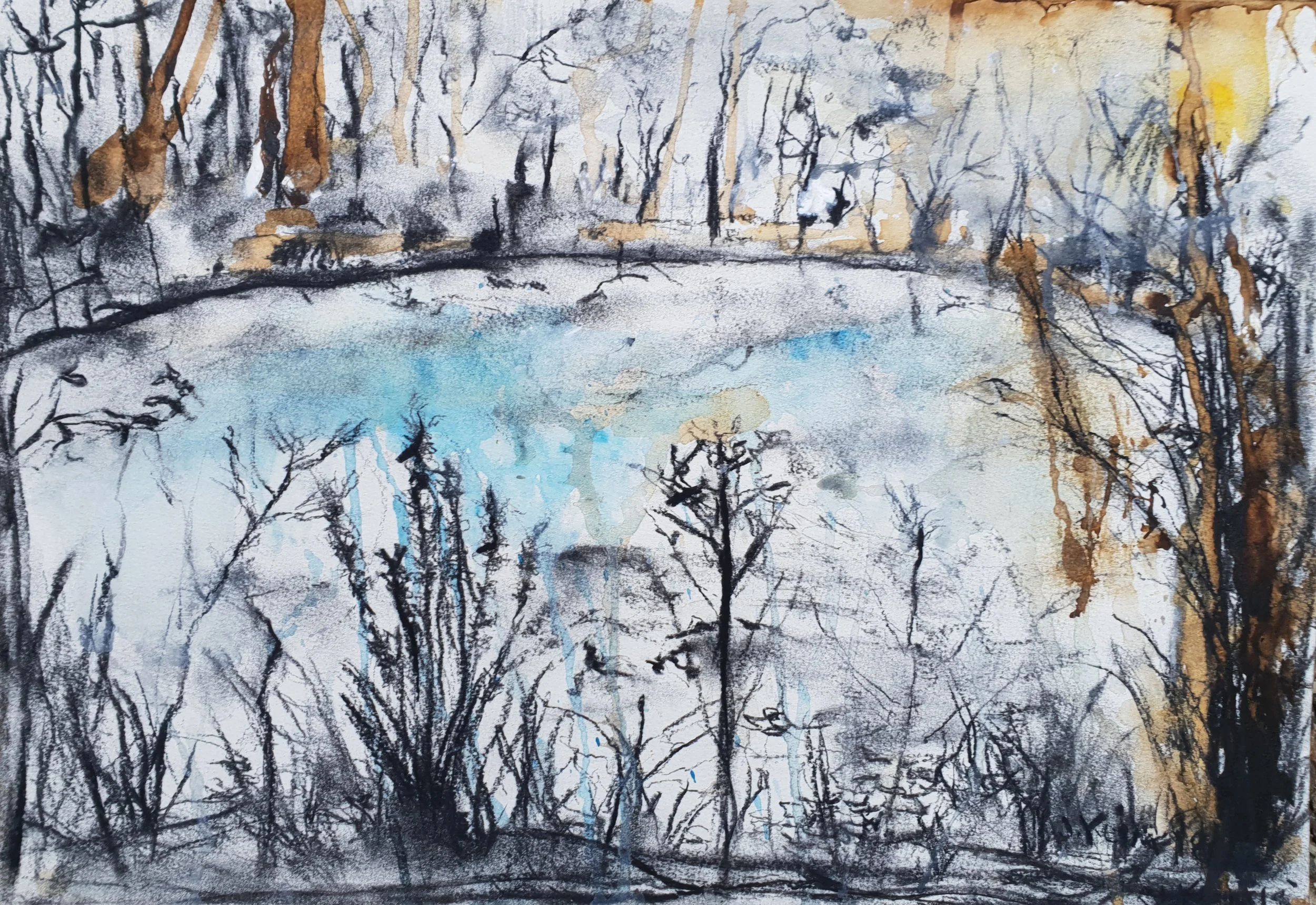 ‘Ducks are a girls best friend’ (2 of 3) 29.7cm x 42cm Charcoal and Ink on Paper.