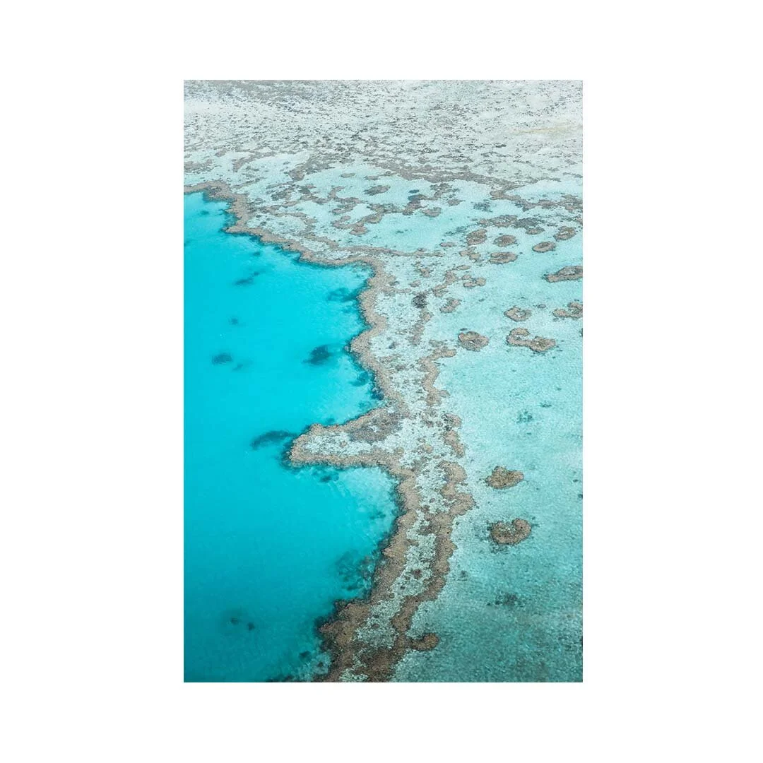 Untitled-1.jpg