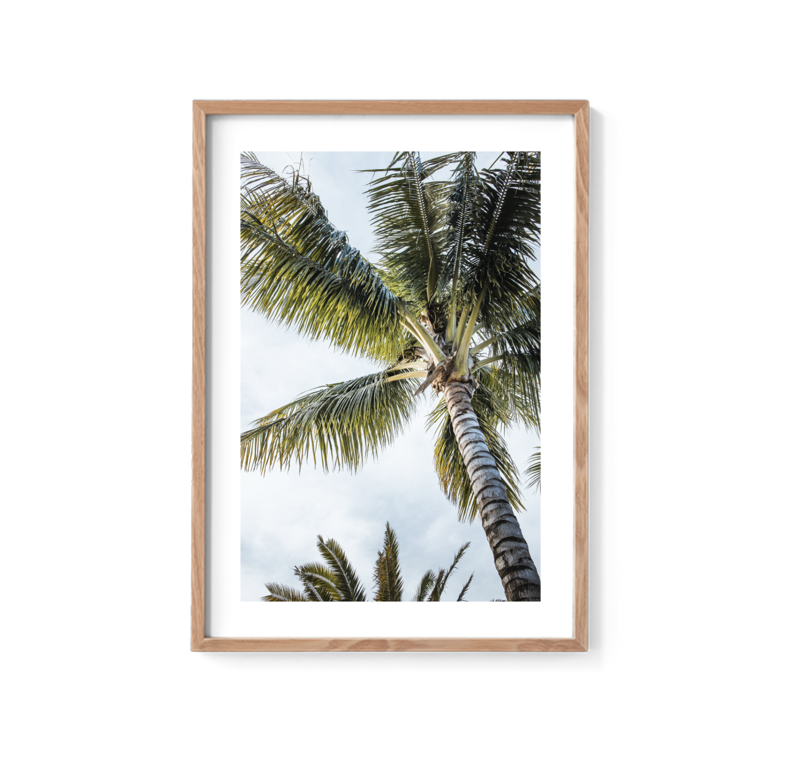 Screen Shot 2021-08-29 at 1.29.11 pm.png