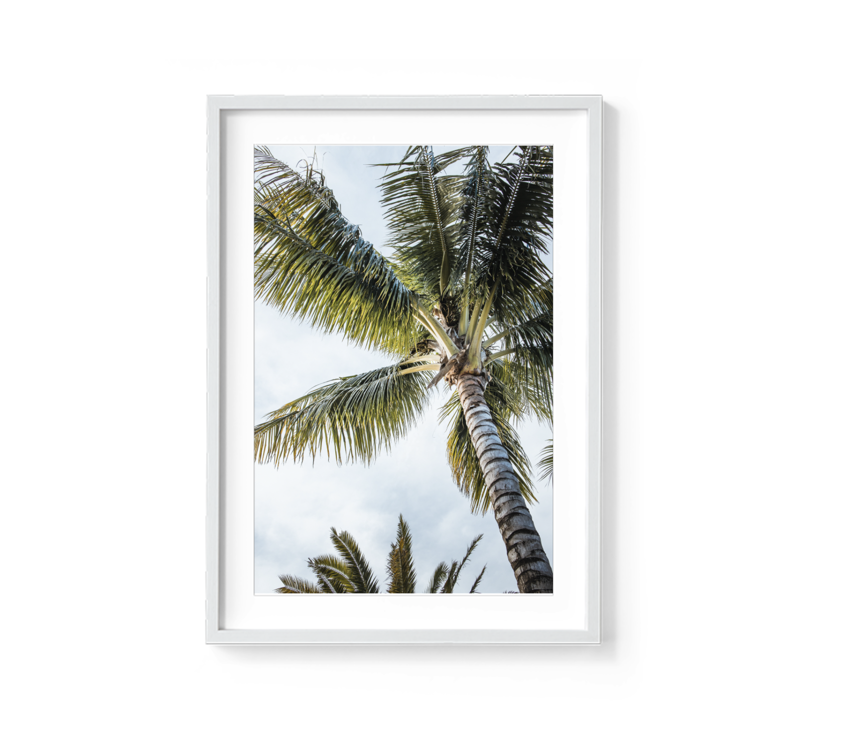 Screen Shot 2021-08-29 at 1.29.04 pm.png