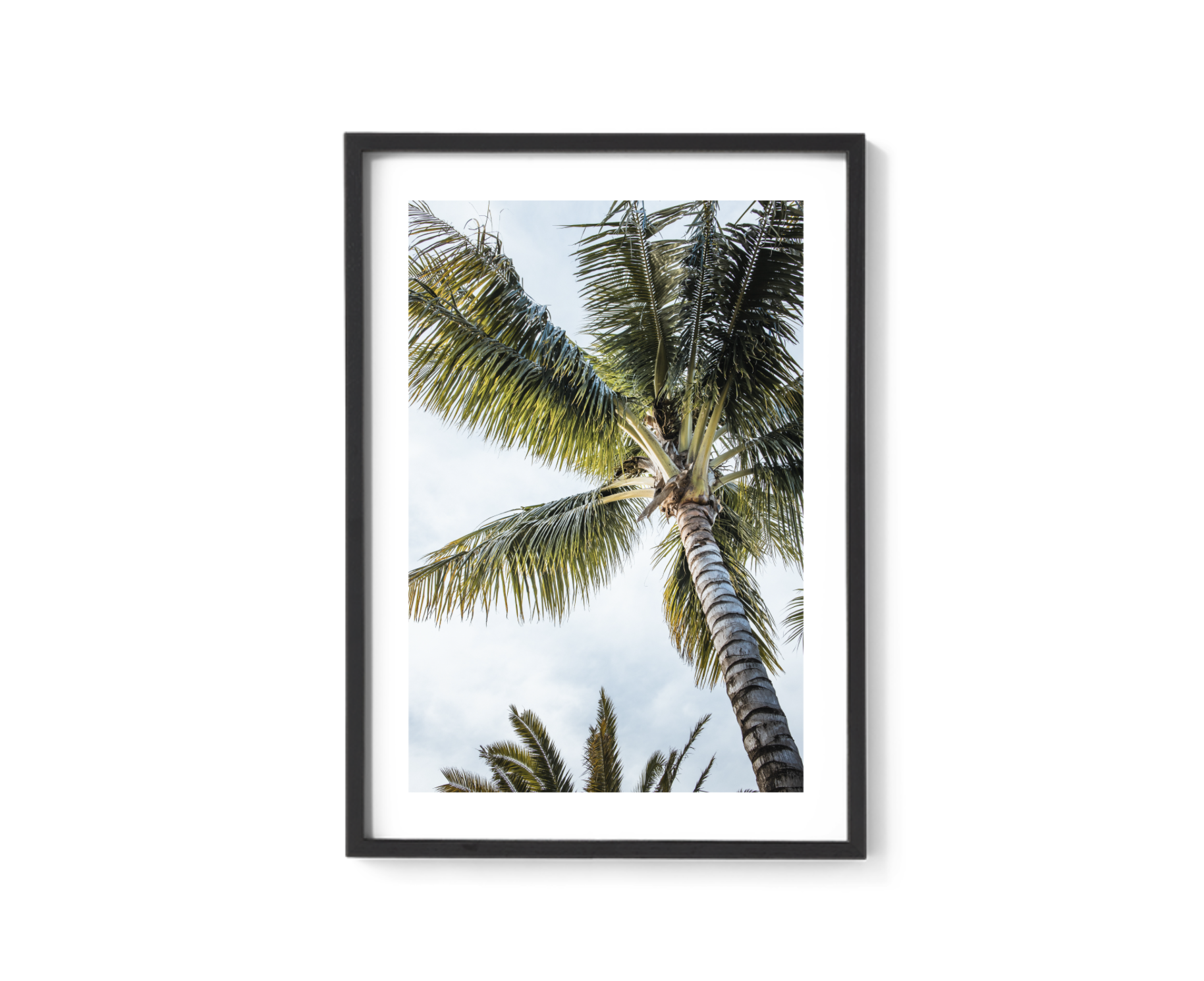 Screen Shot 2021-08-29 at 1.29.20 pm.png