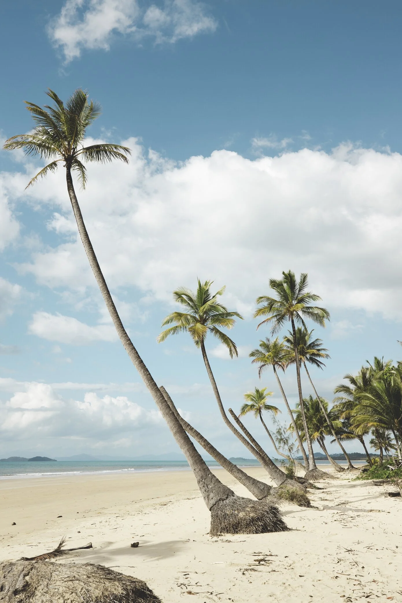 Mission Beach_5284.jpg