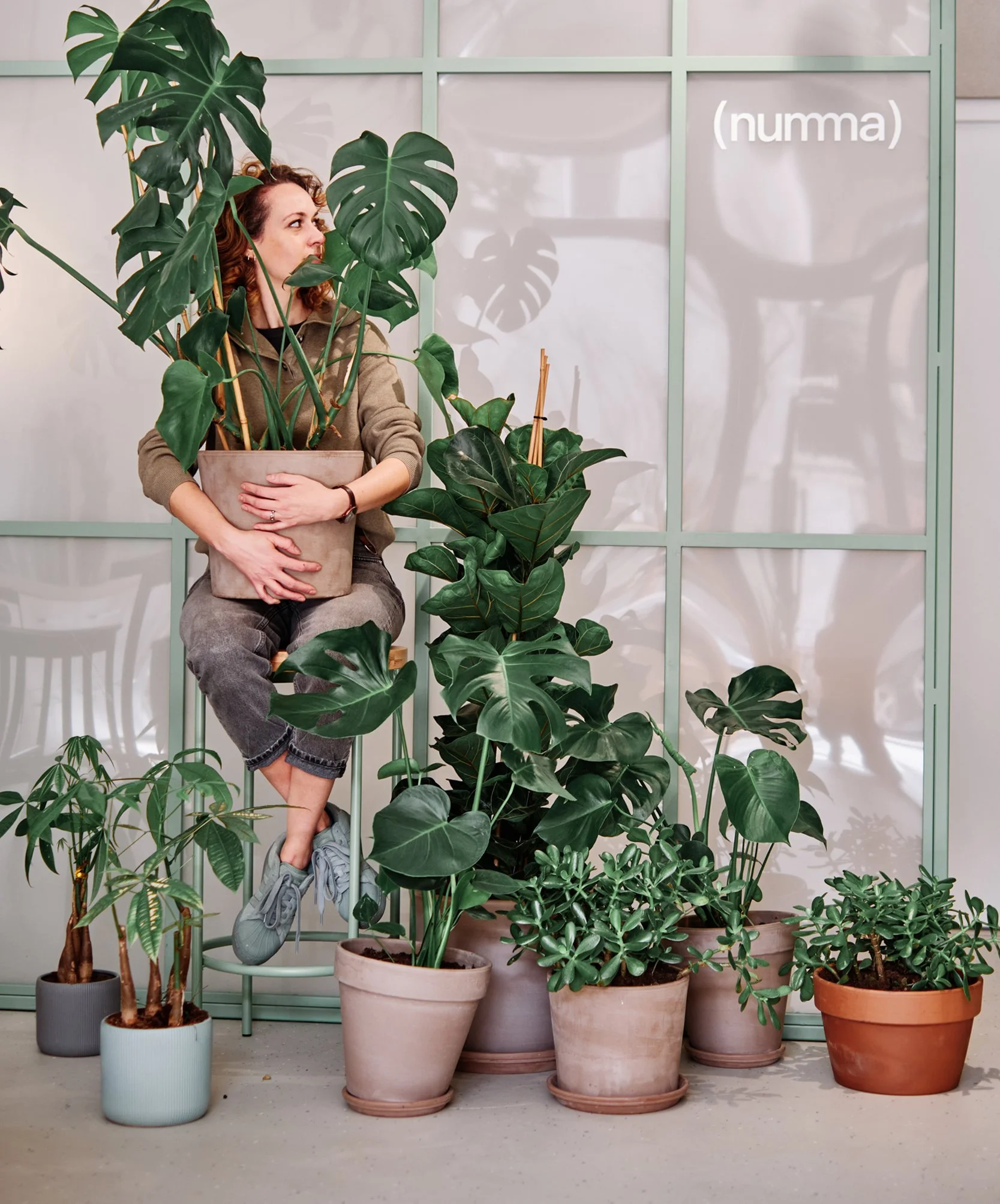 numma7-edit.jpg