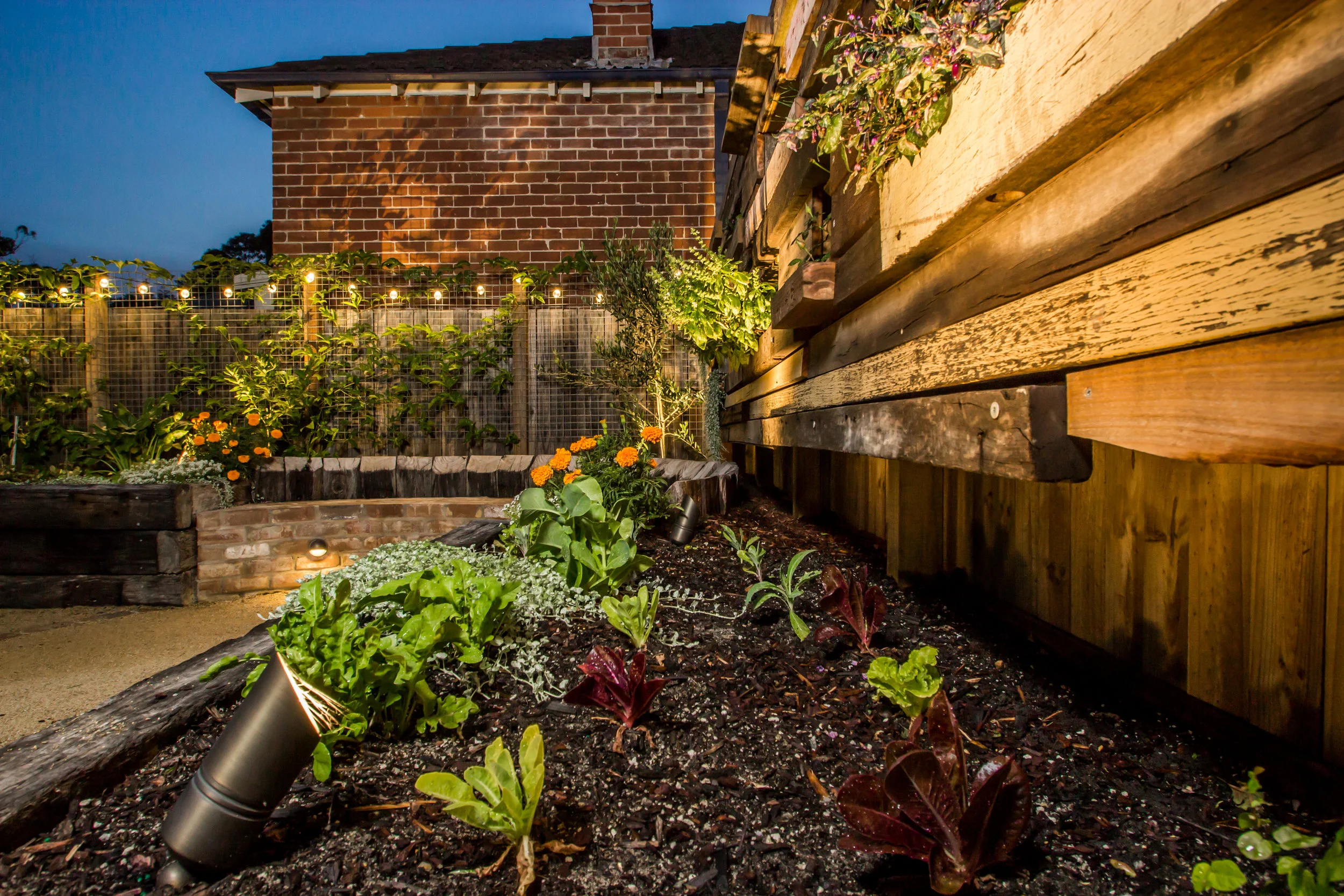 39 Parry St Landscaping - 01.jpg