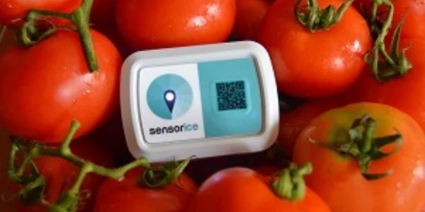 Sensors To Report in Real-Time the Conditions of your Product