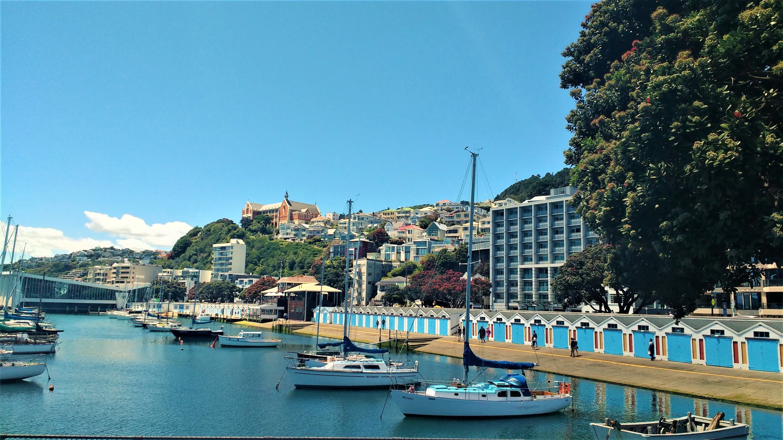 The Best Free Things to Do in Wellington — Travels Of A Bookpacker