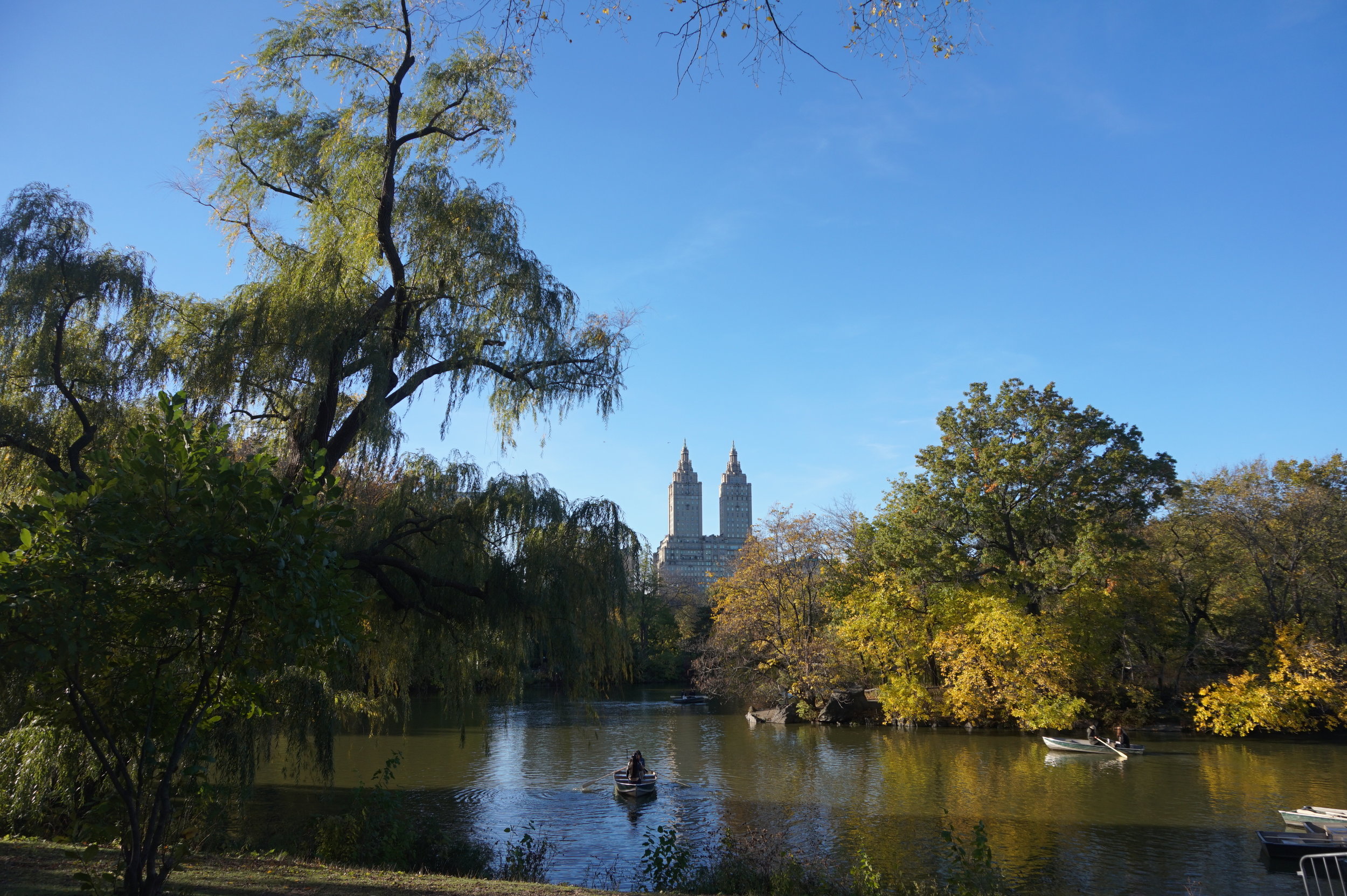 USA-New-York-Central-Park.jpg