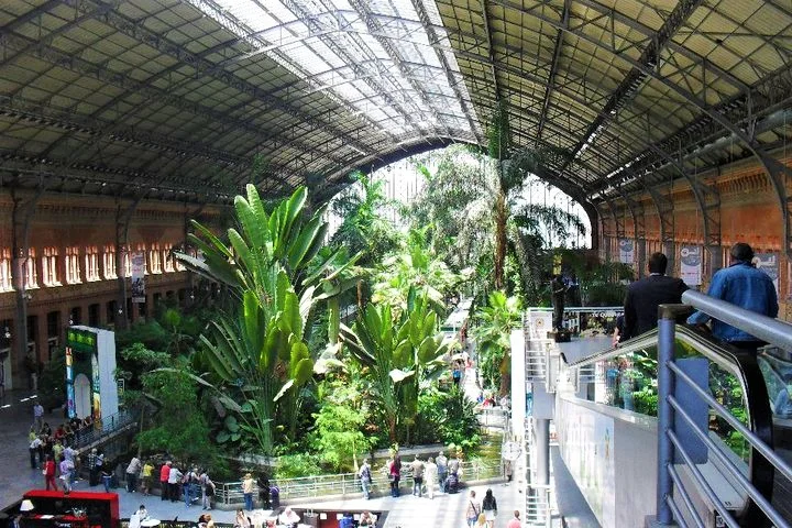 Spain-Madrid-Train-Station-2.jpg