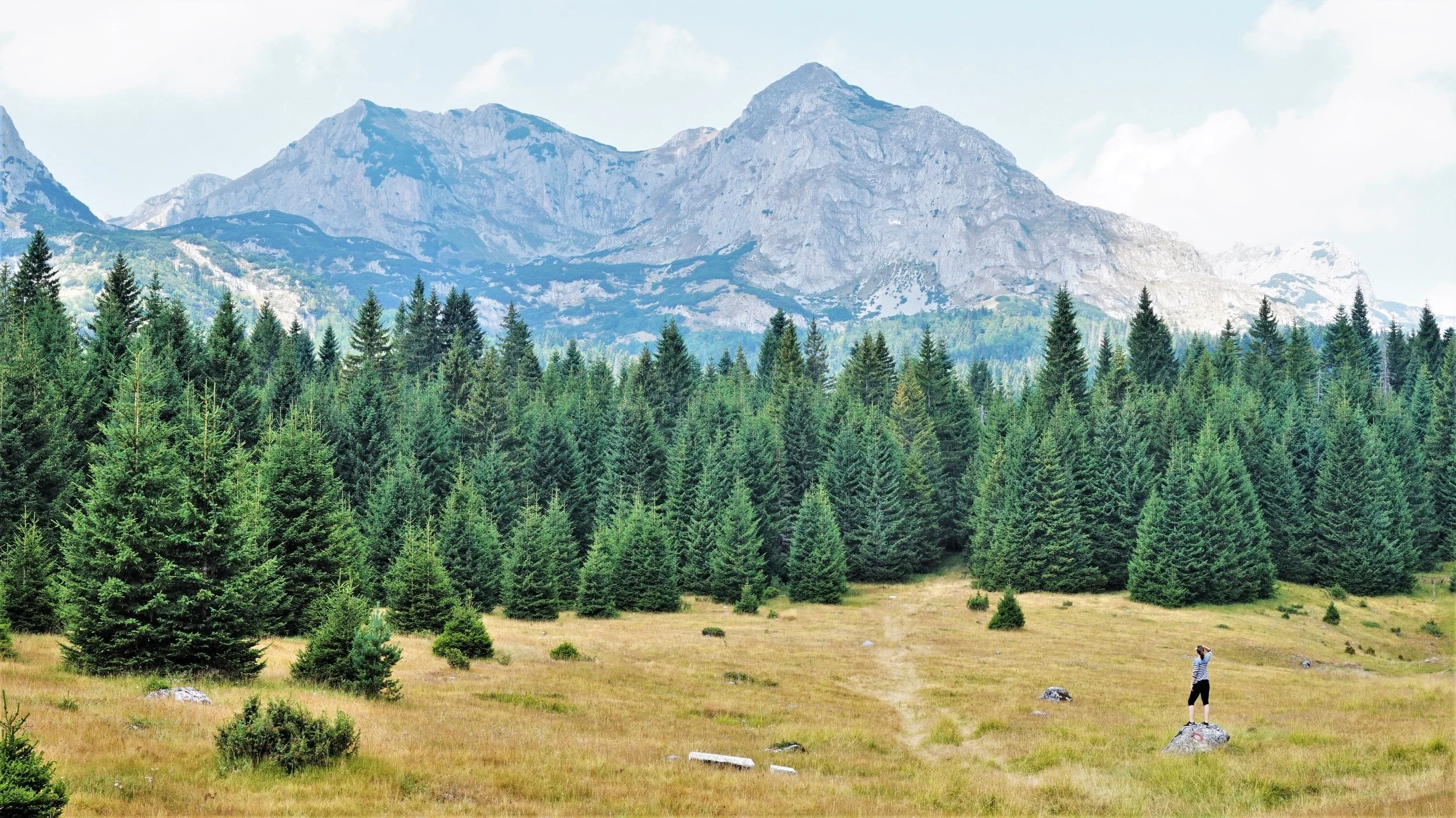 must-see places on a road trip in the balkans durmitor national park
