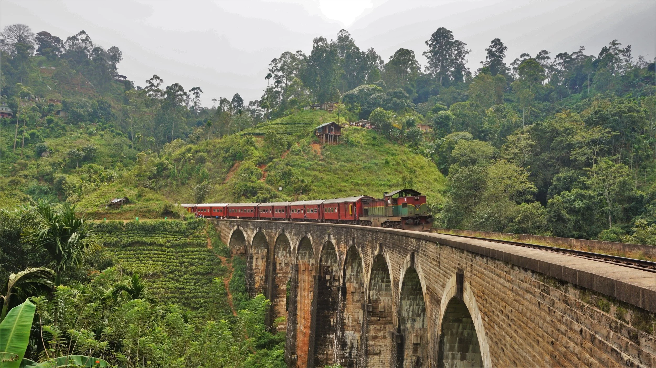 train coming over the nine arch bridge in ella, sri lanka