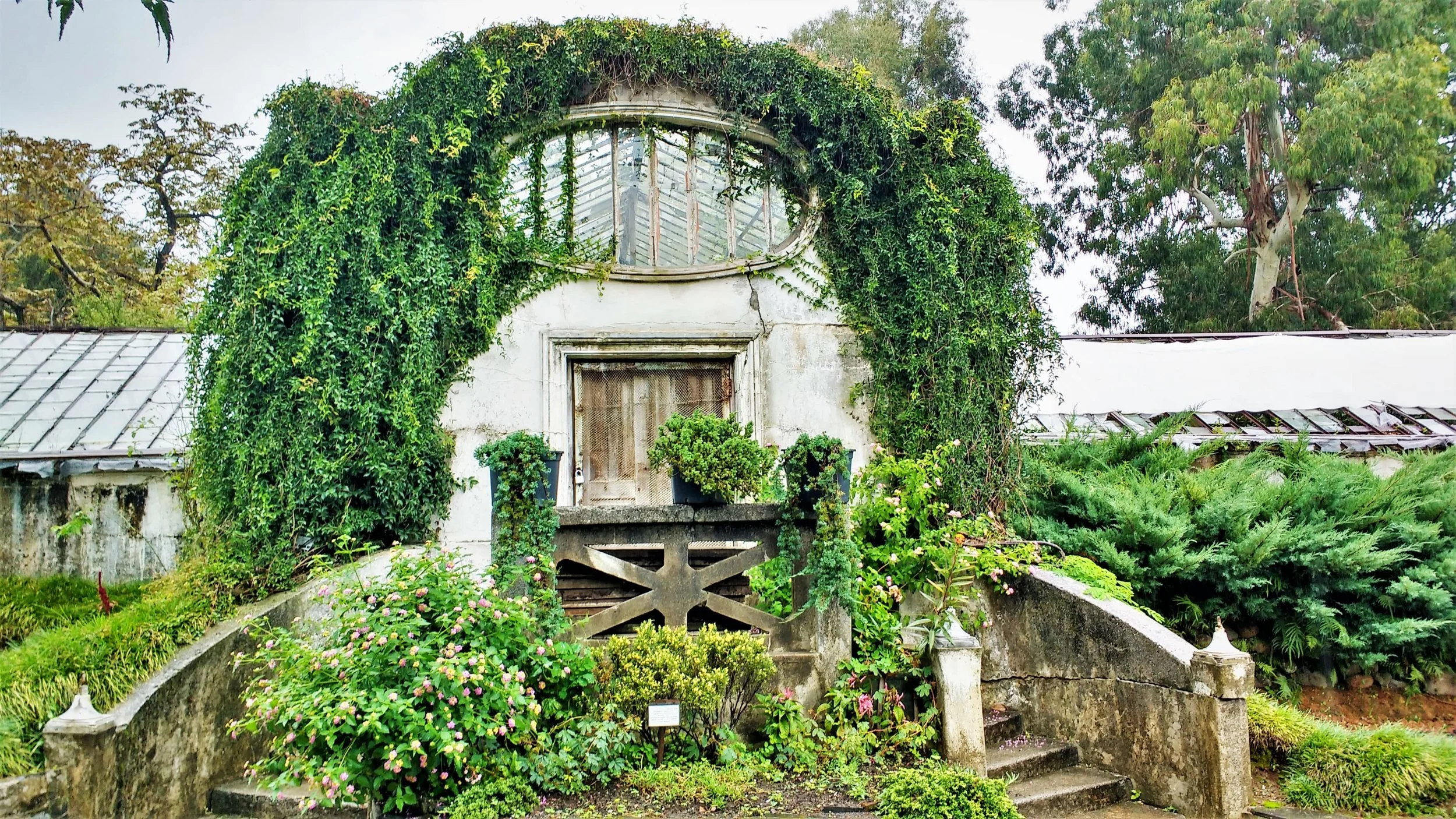 Botanical Garden Batumi Georgia-min.jpg