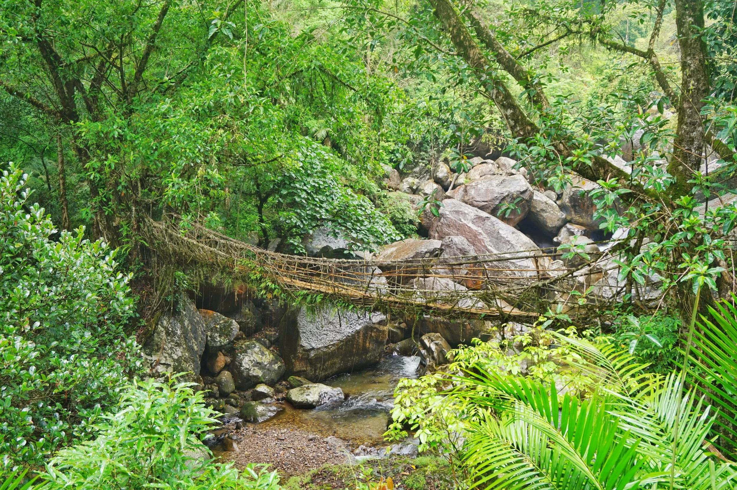 The Ultimate Guide to Backpacking in Meghalaya, North East India