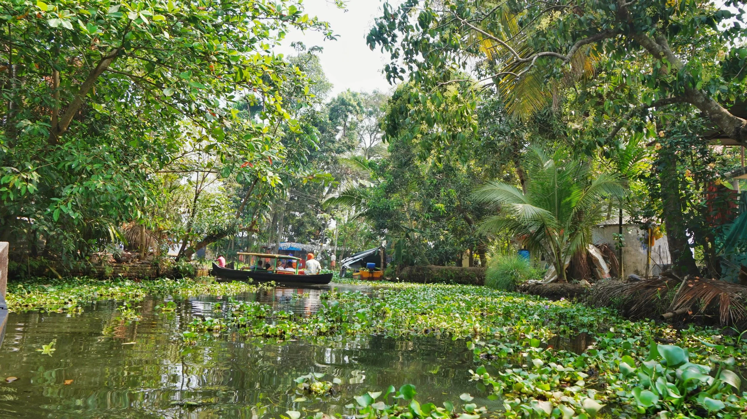 The Best Alleppey Backwaters Tours: Five Ways to See the Backwaters