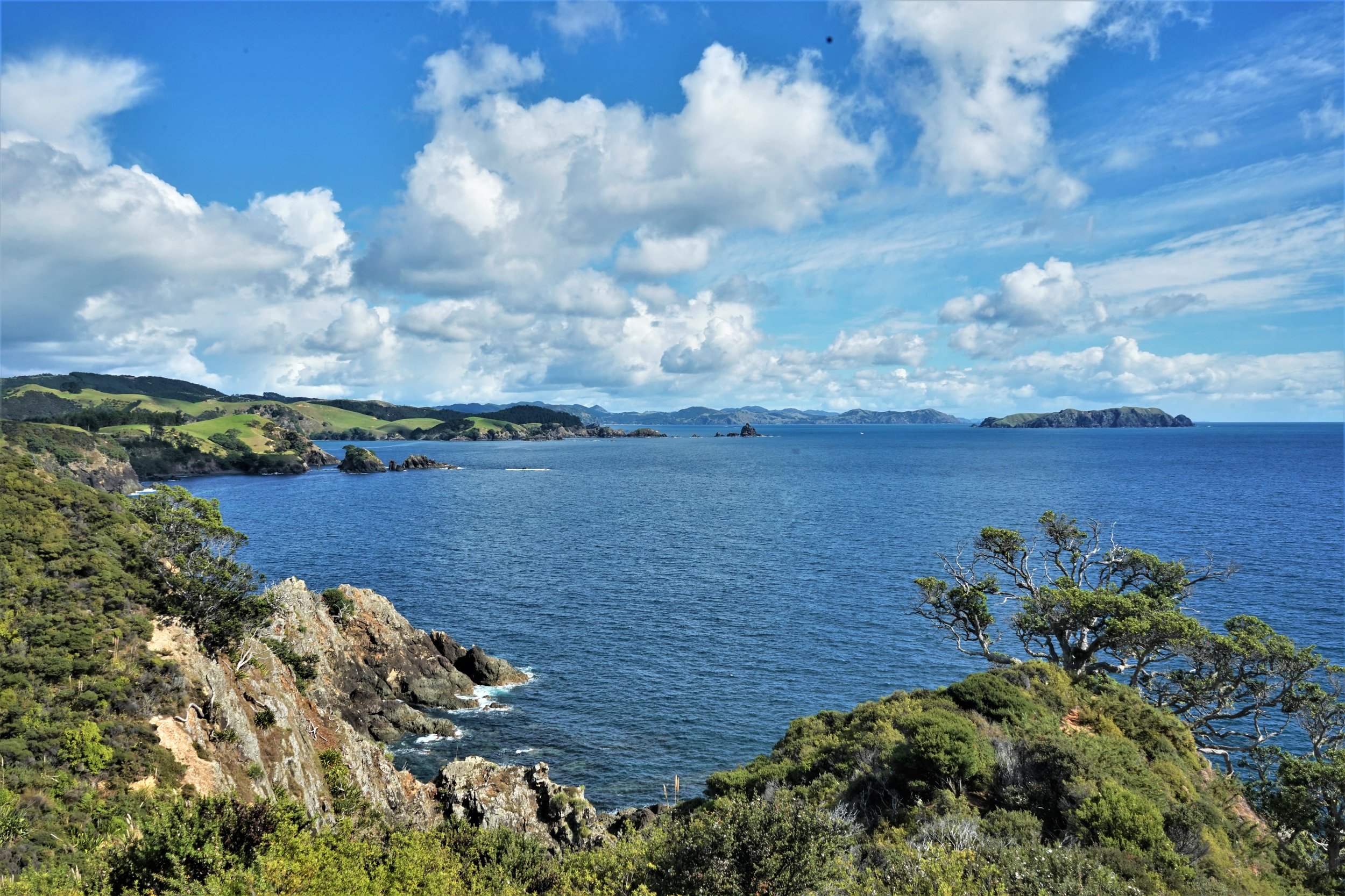 Northland Itinerary: Best Things to do in Northland, New Zealand