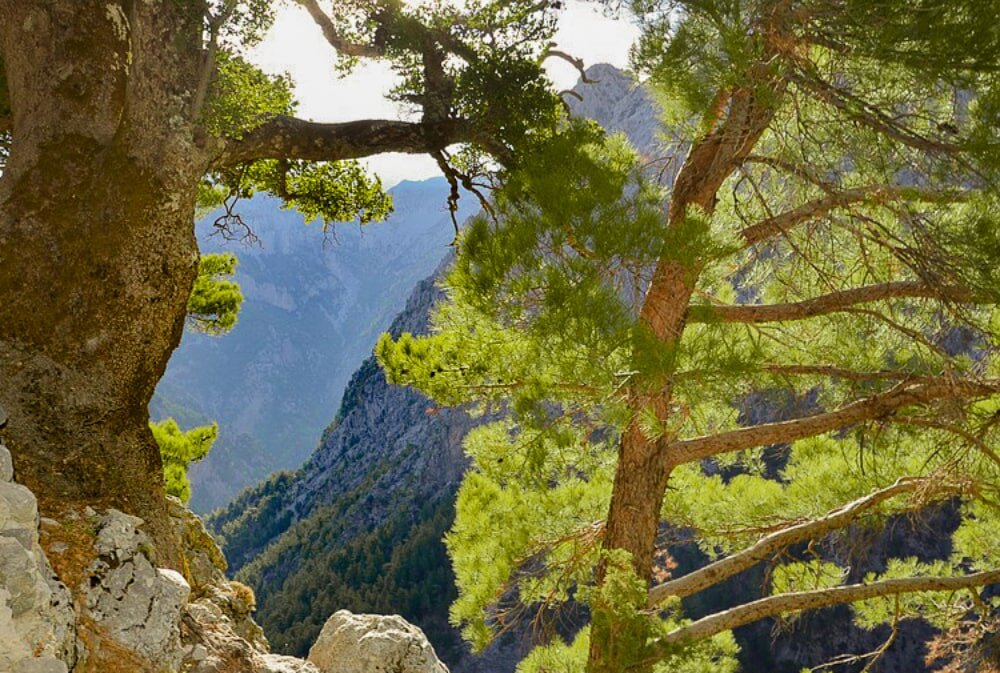View of Samaria gorge from the entrance, on the northern side.