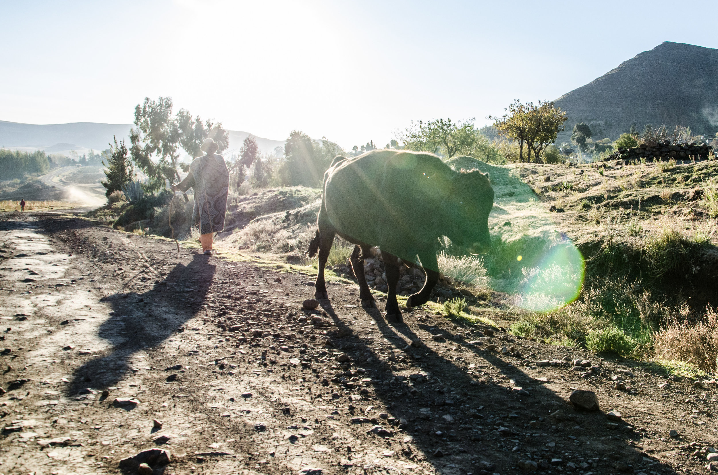 Dominique Little Photographer_Filmaker_Actress_docufiction_Lesotho-2.jpg