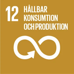 globala+mål+hållbarhet+agenda+2030+pollex+Mål+12.jpg