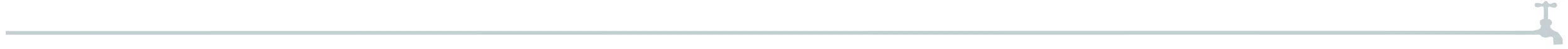 lightgreytapline.jpg
