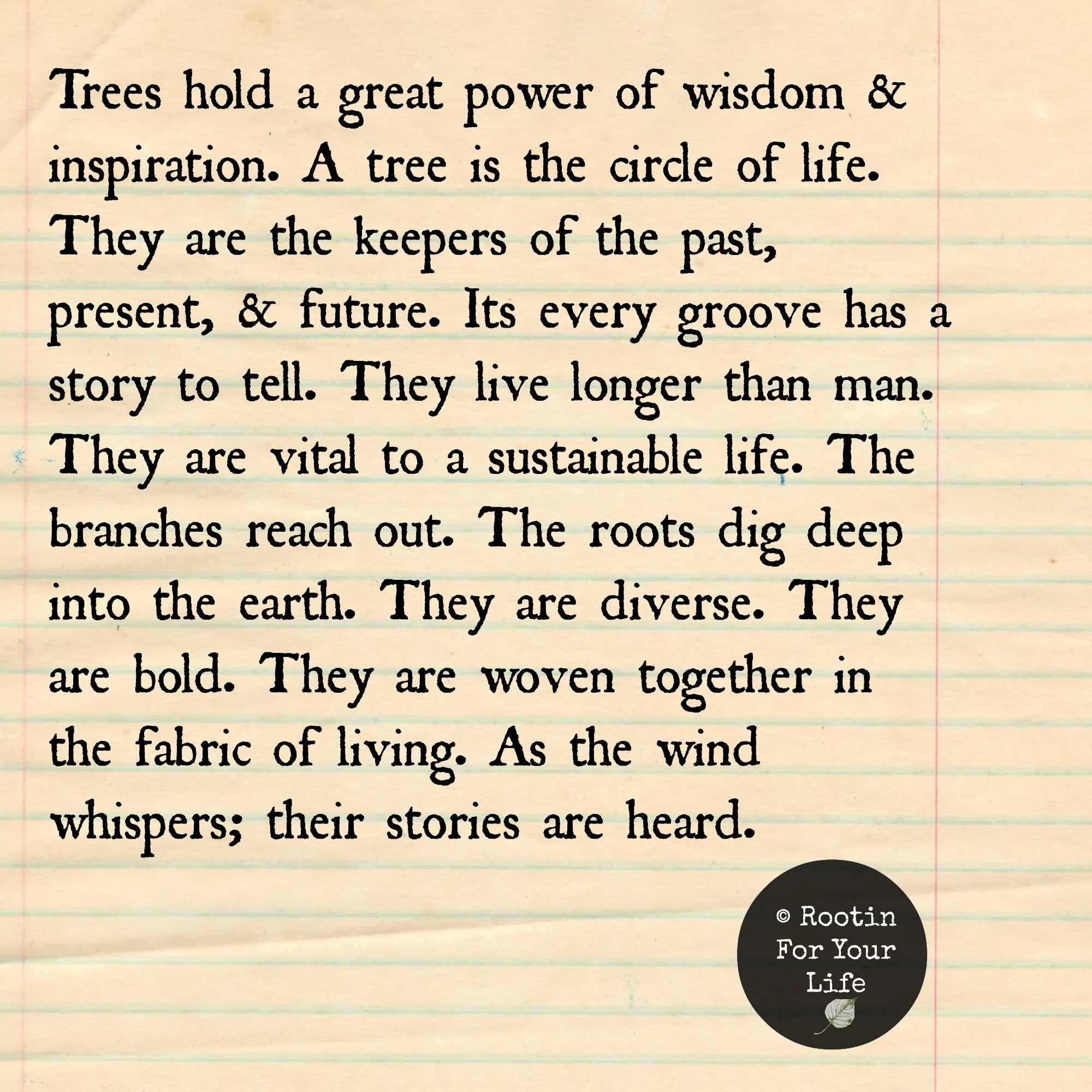 trees.jpg