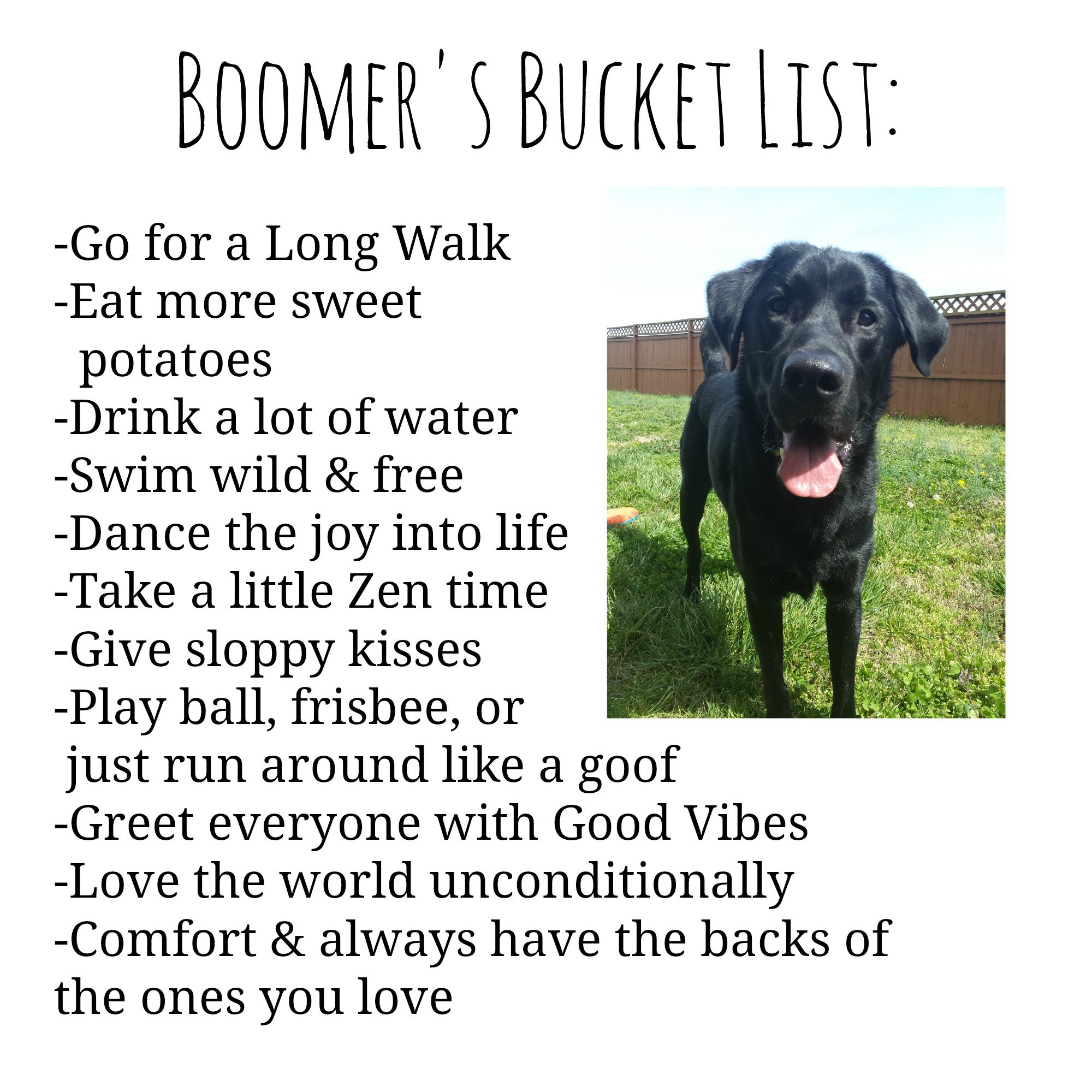 boomer bucket list.jpg