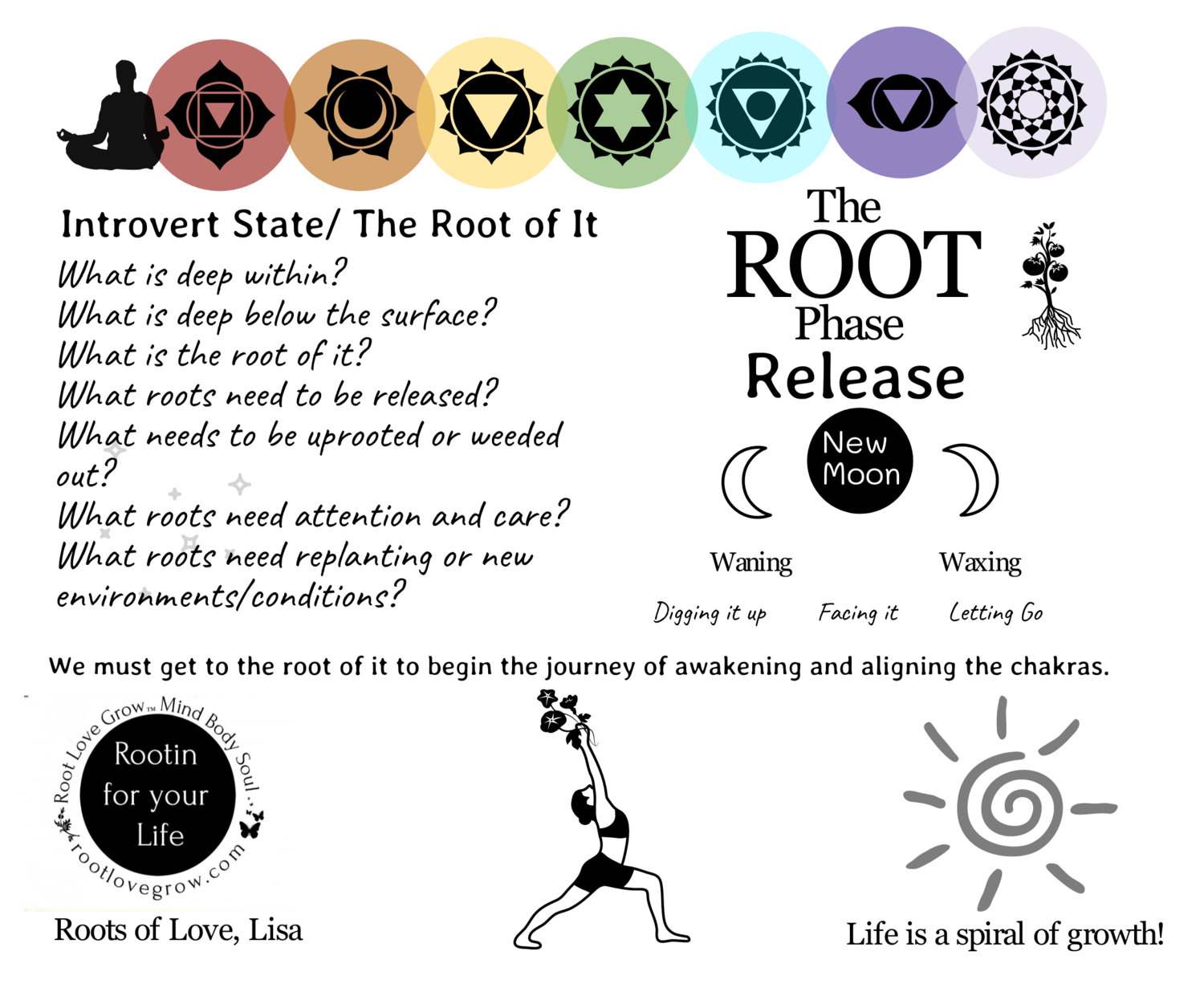 Nov 2023 Daily Roots — The Wild Rooted Flow Wellness Project