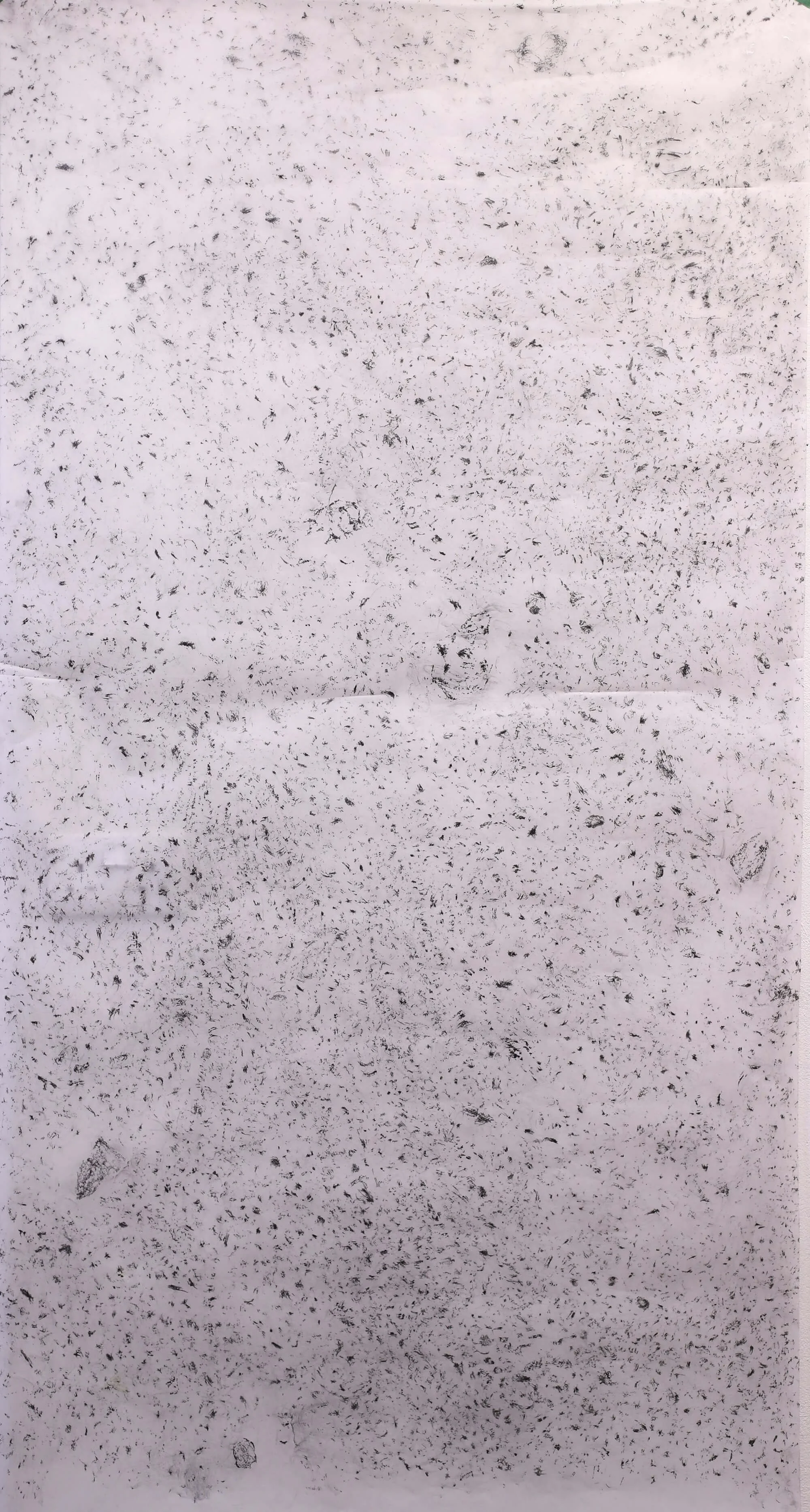 Graphite pebbles drawing on transparent tracing paper